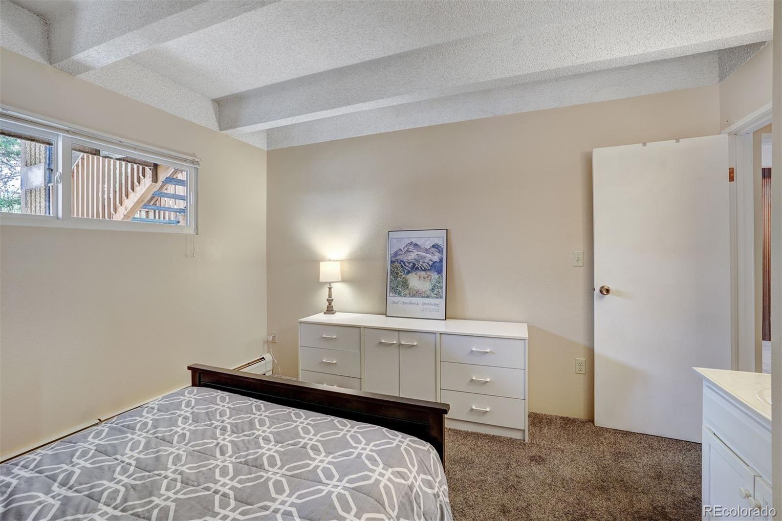 MLS Image #13 for 200  granite street,frisco, Colorado