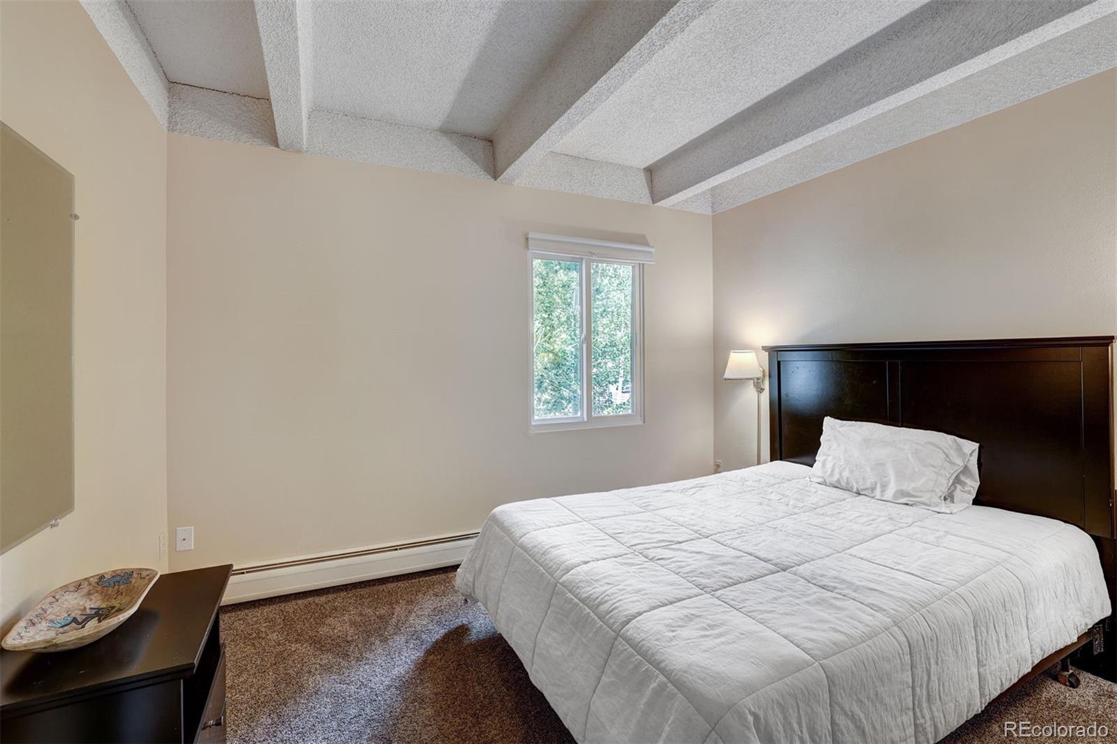 MLS Image #16 for 200  granite street,frisco, Colorado