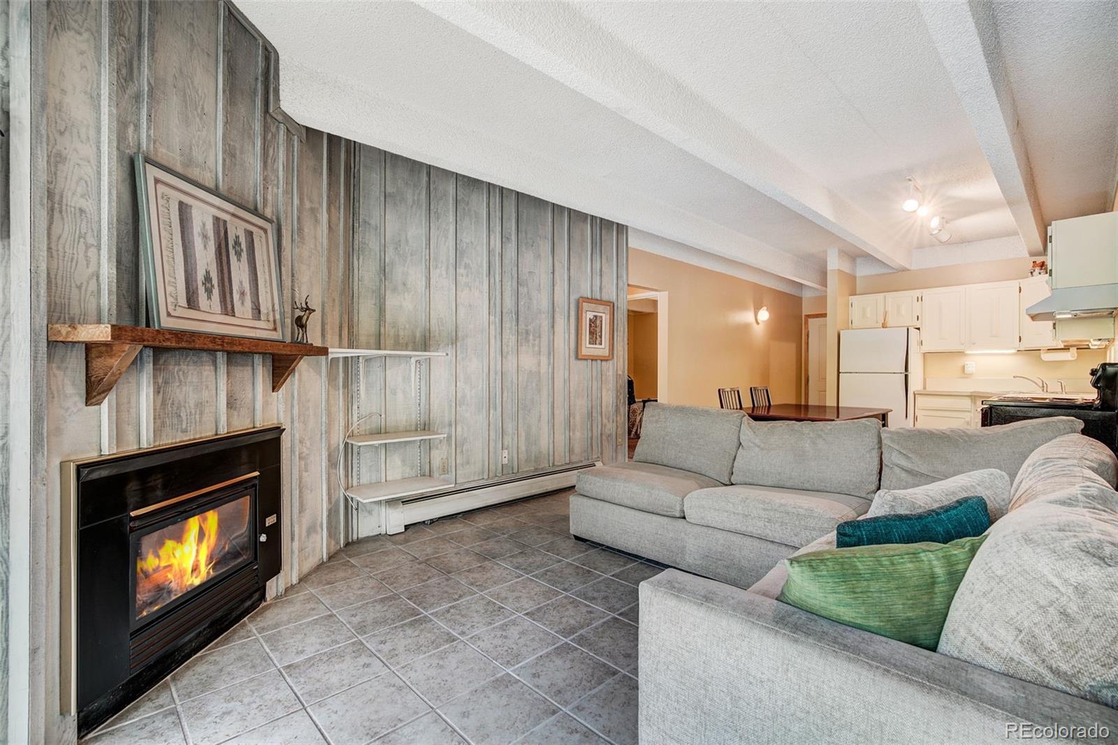 MLS Image #6 for 200  granite street,frisco, Colorado