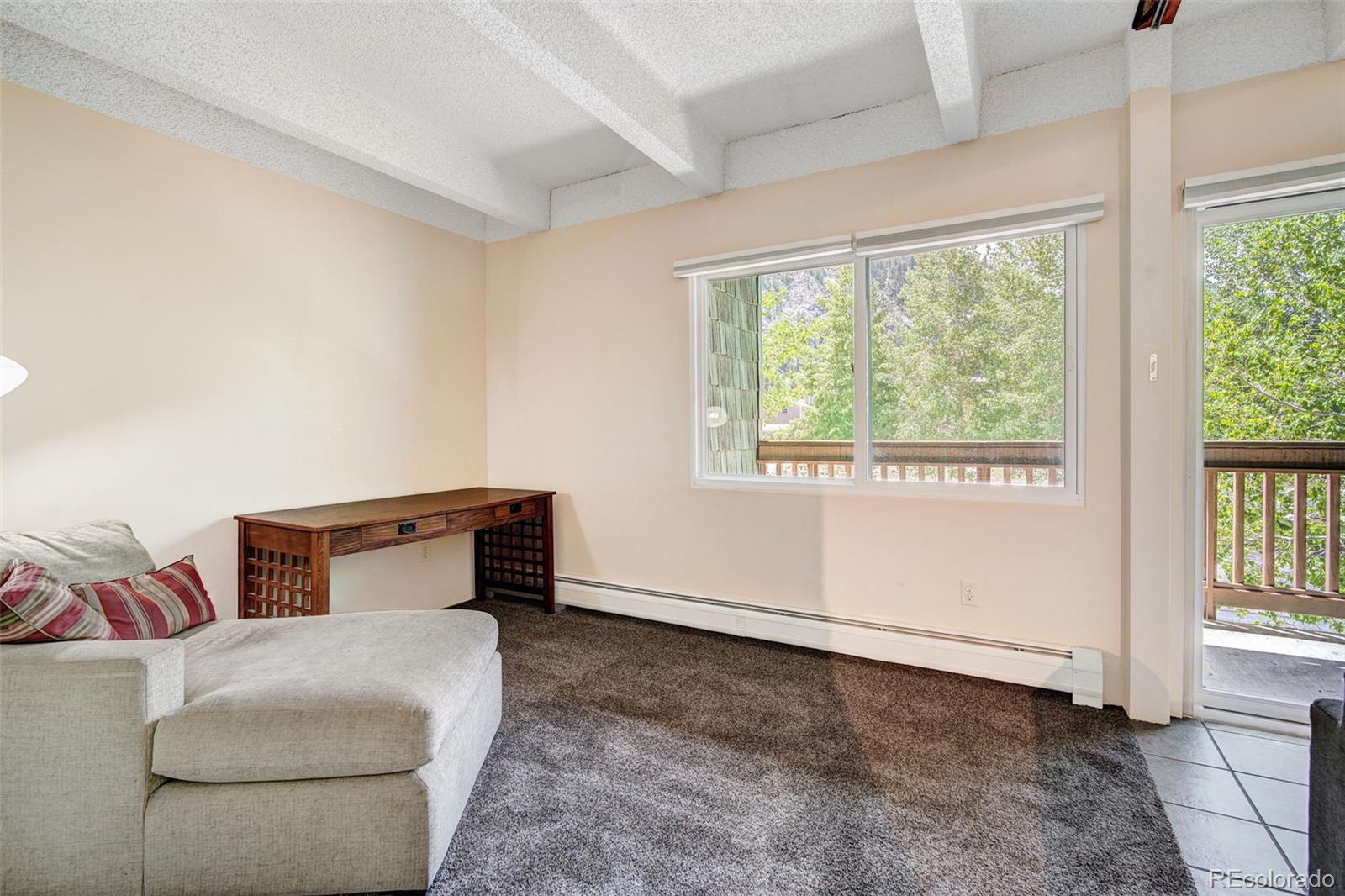 MLS Image #8 for 200  granite street,frisco, Colorado