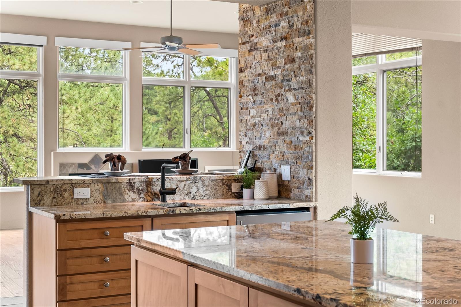 MLS Image #21 for 209  saratoga mine drive,castle rock, Colorado