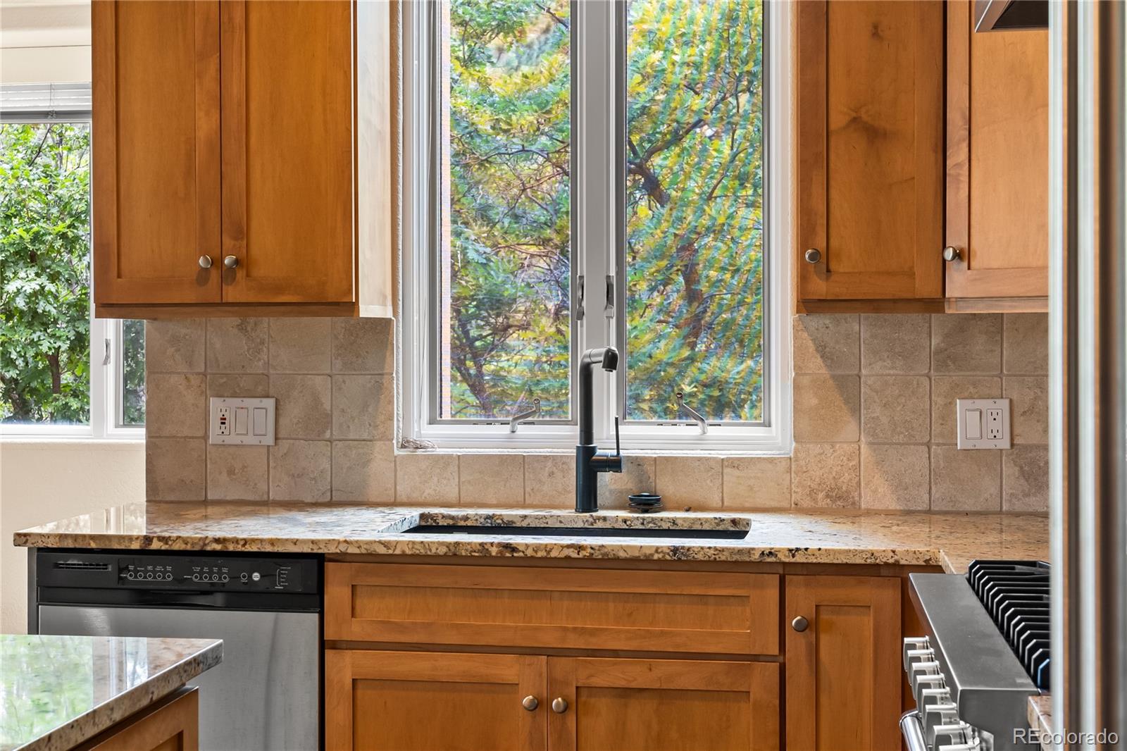 MLS Image #22 for 209  saratoga mine drive,castle rock, Colorado