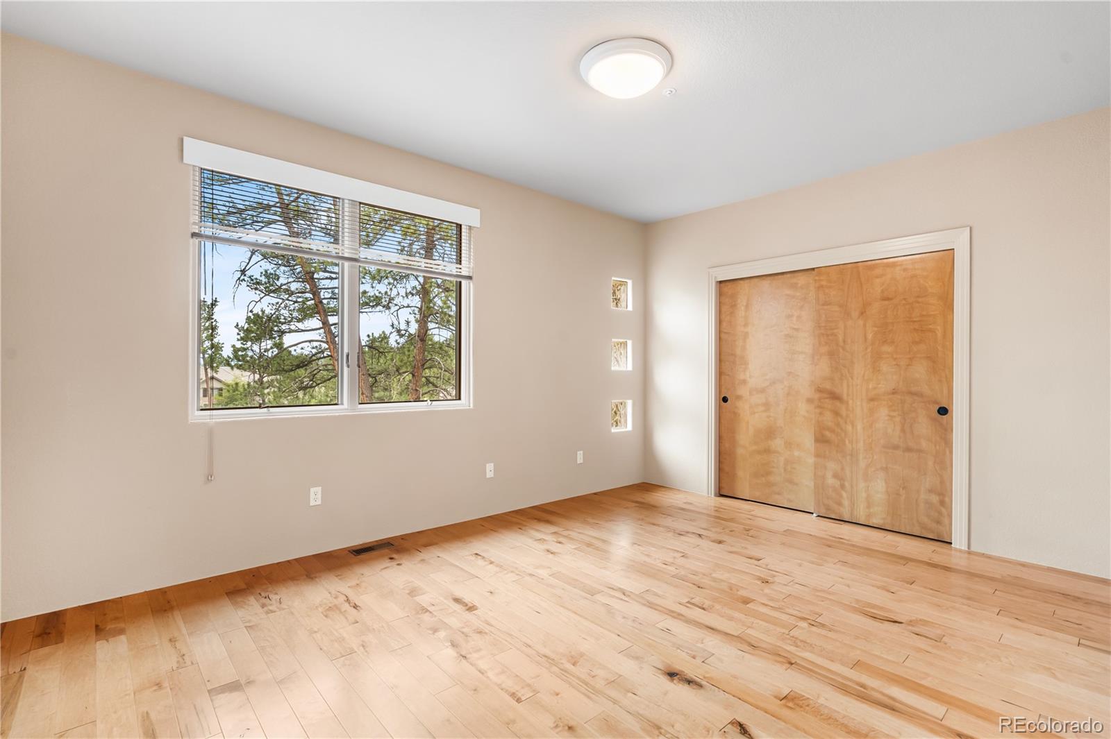 MLS Image #33 for 209  saratoga mine drive,castle rock, Colorado