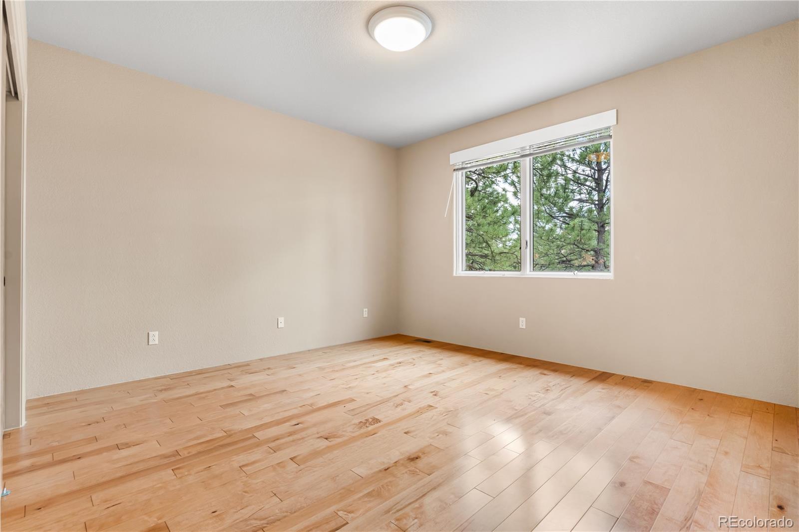 MLS Image #37 for 209  saratoga mine drive,castle rock, Colorado