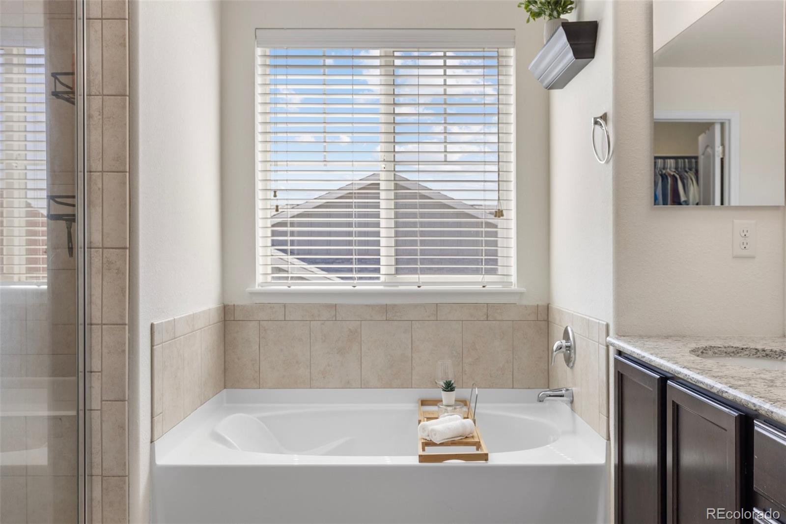 MLS Image #19 for 15446  coopers hawk way,parker, Colorado
