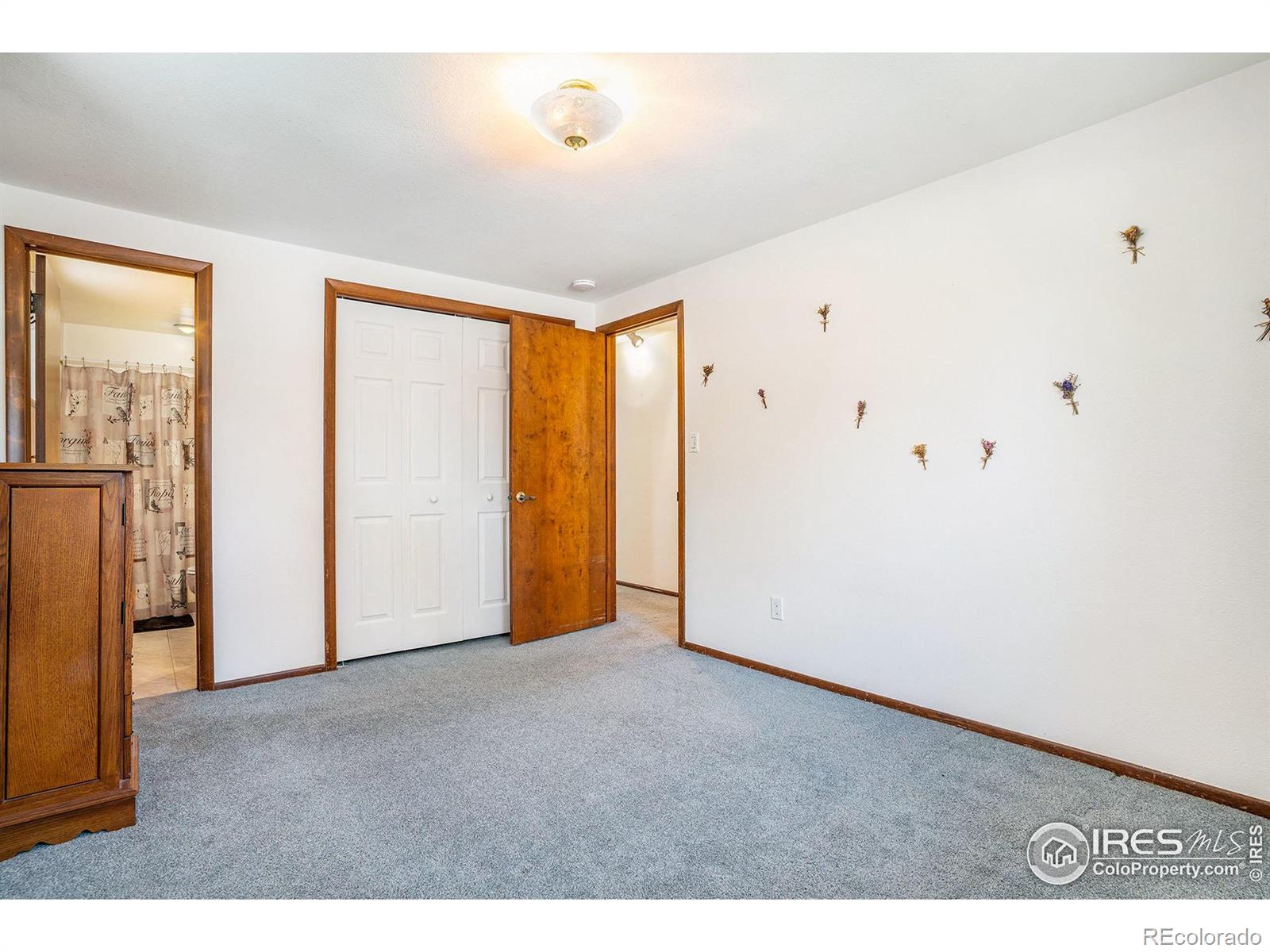MLS Image #15 for 3011  douglas avenue,loveland, Colorado