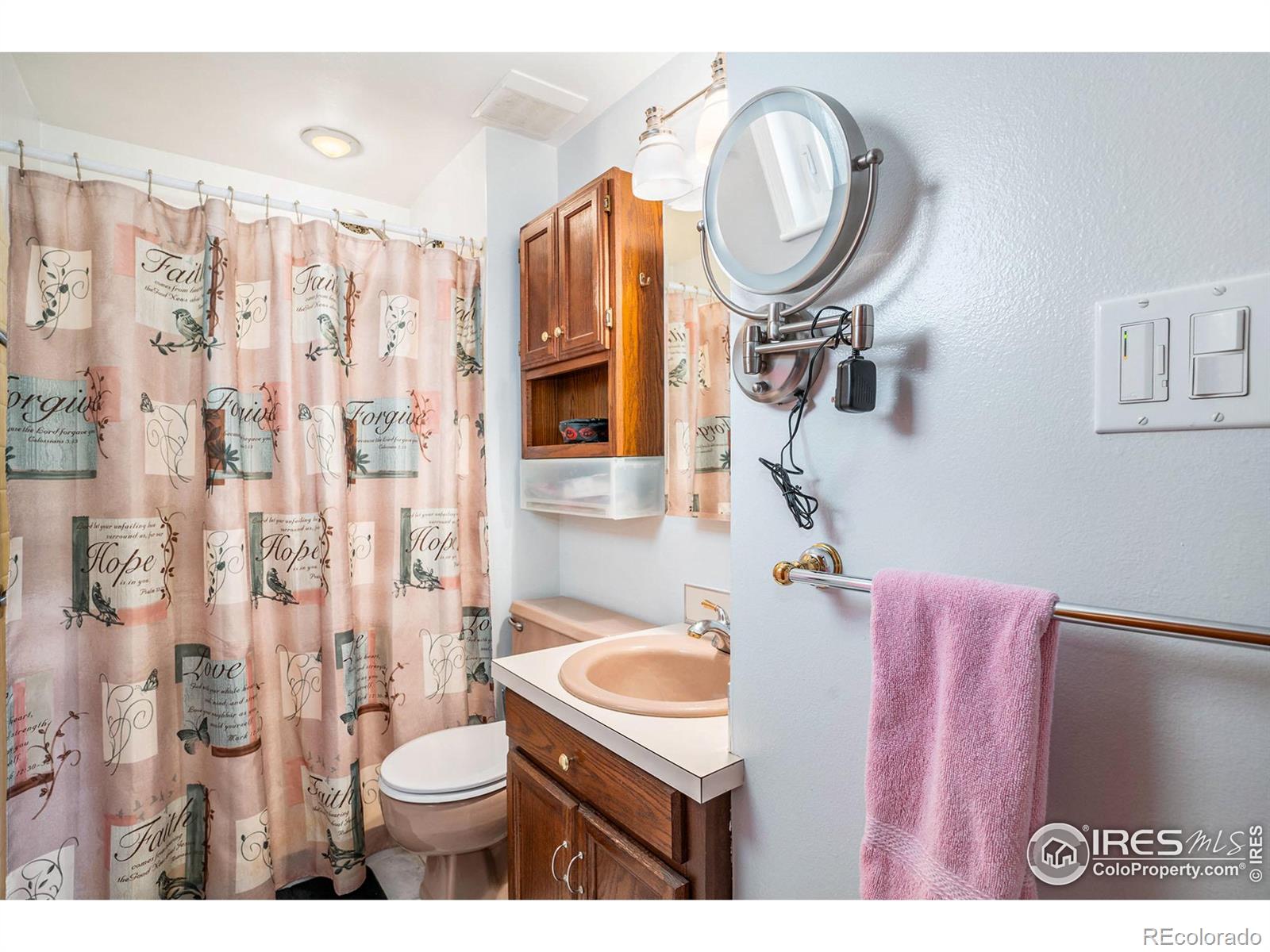 MLS Image #16 for 3011  douglas avenue,loveland, Colorado