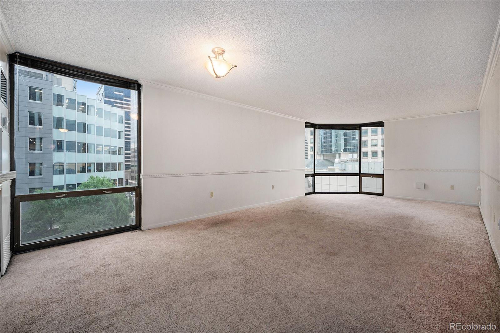 MLS Image #4 for 1625  larimer street,denver, Colorado