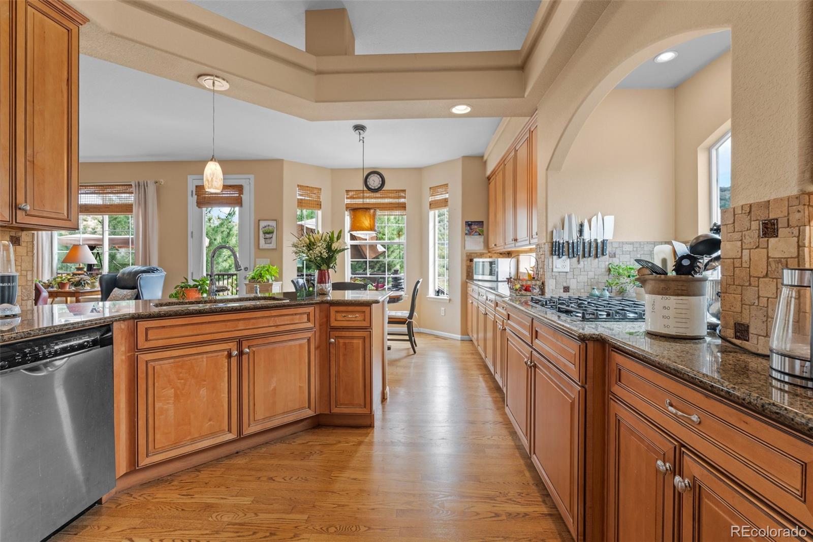 MLS Image #13 for 1410  exquisite street,castle rock, Colorado