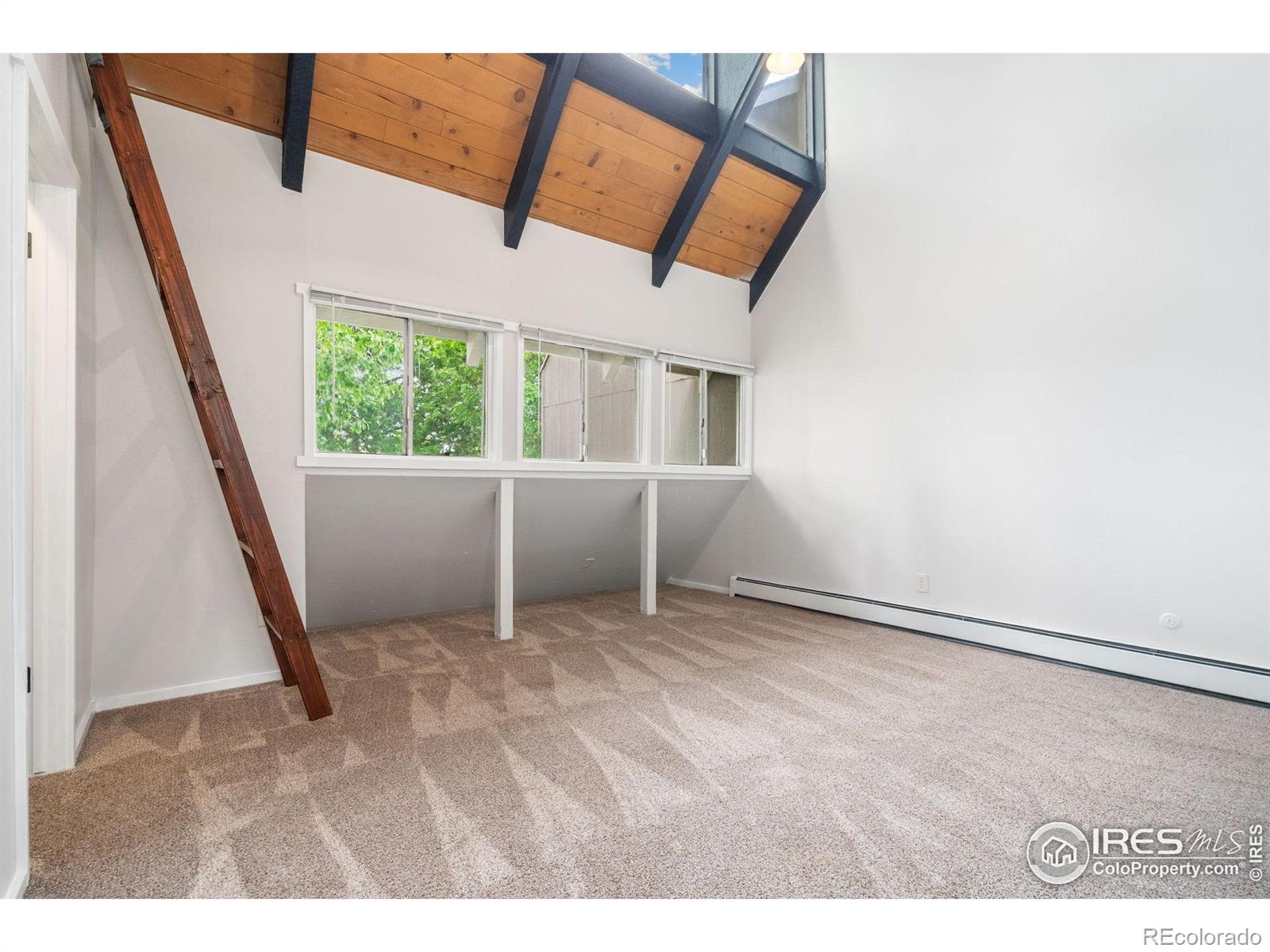 MLS Image #16 for 1731  springmeadows court,fort collins, Colorado