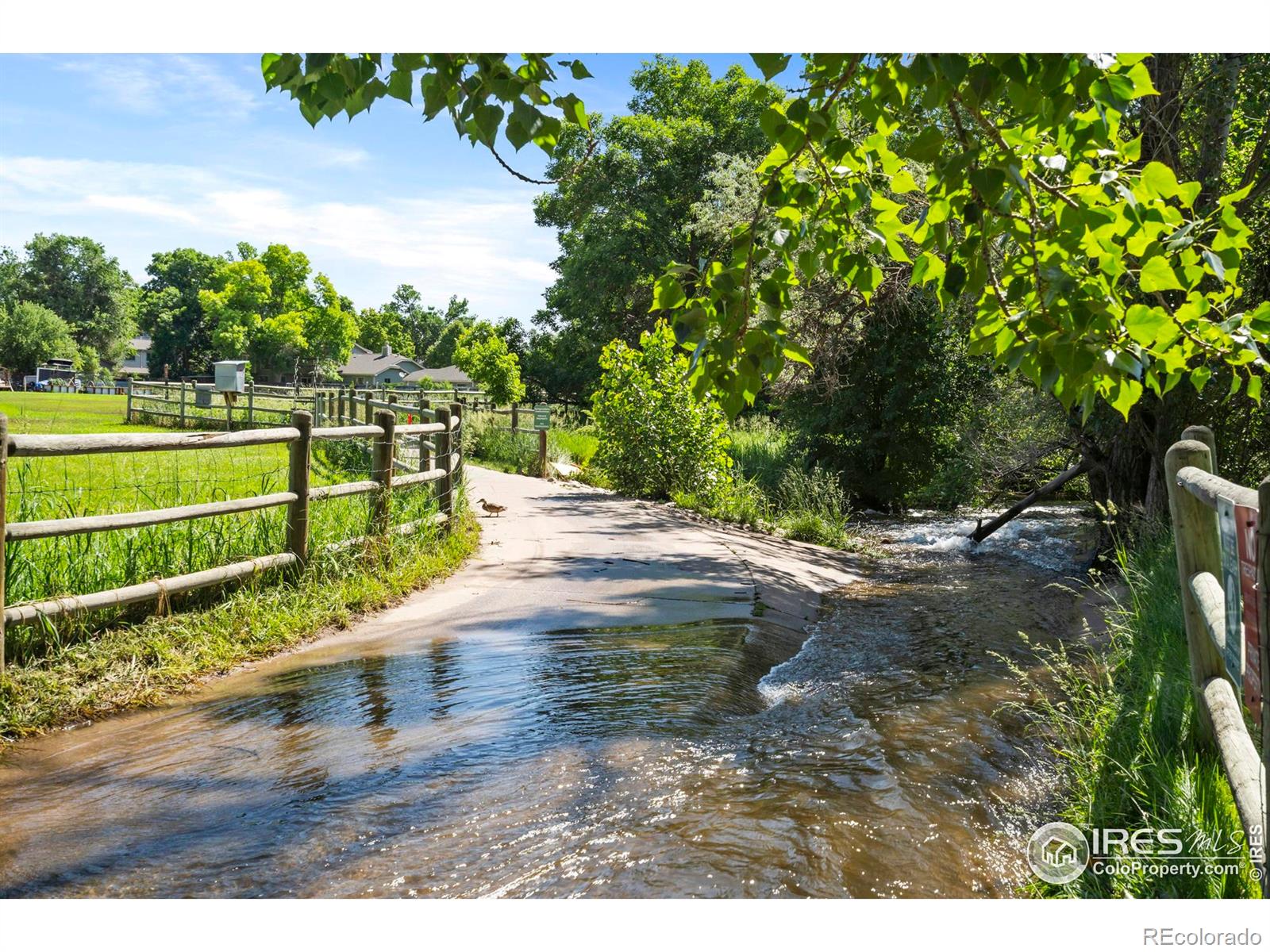 MLS Image #32 for 1731  springmeadows court,fort collins, Colorado
