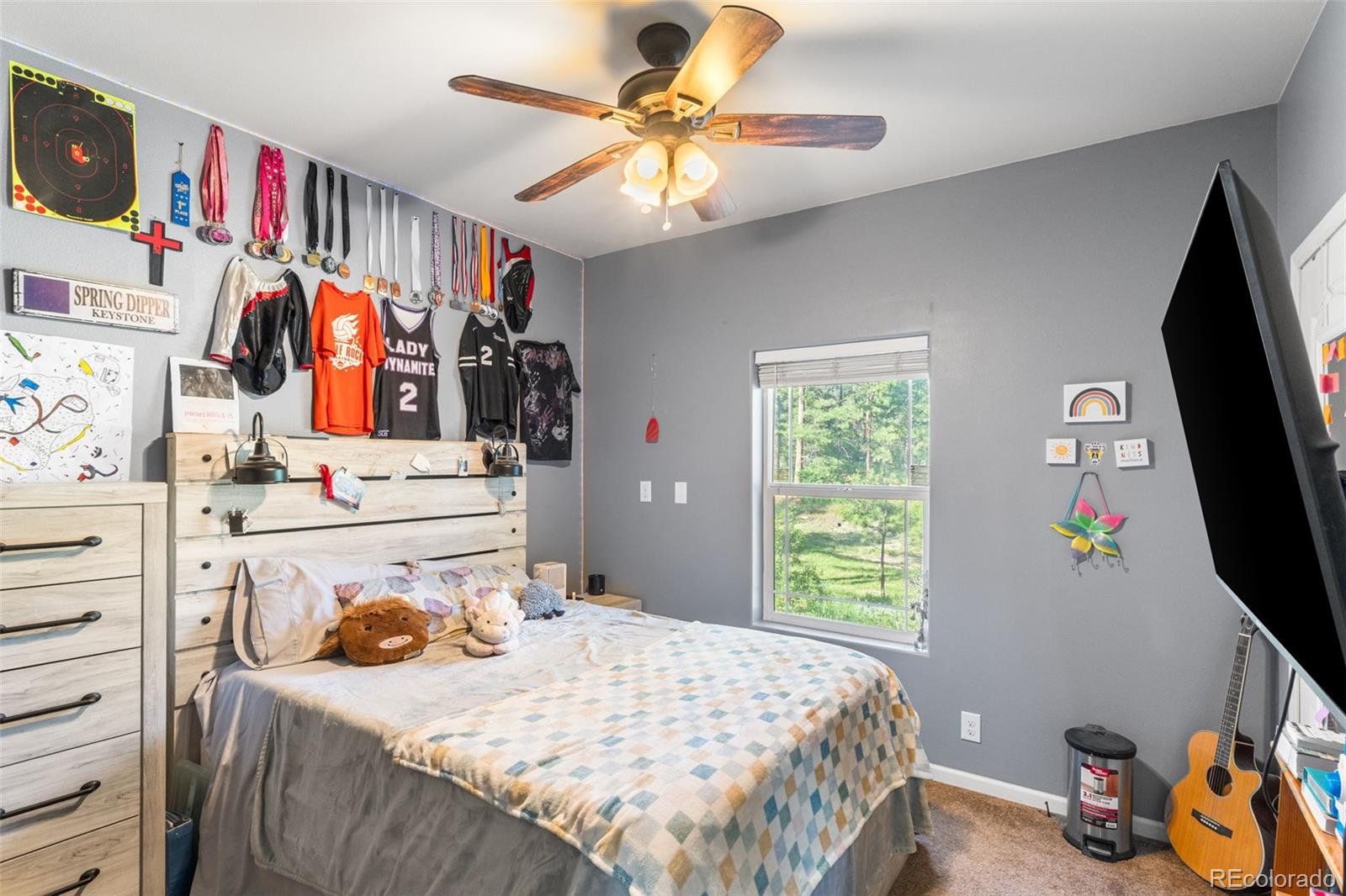 MLS Image #22 for 11044  conestoga place,franktown, Colorado