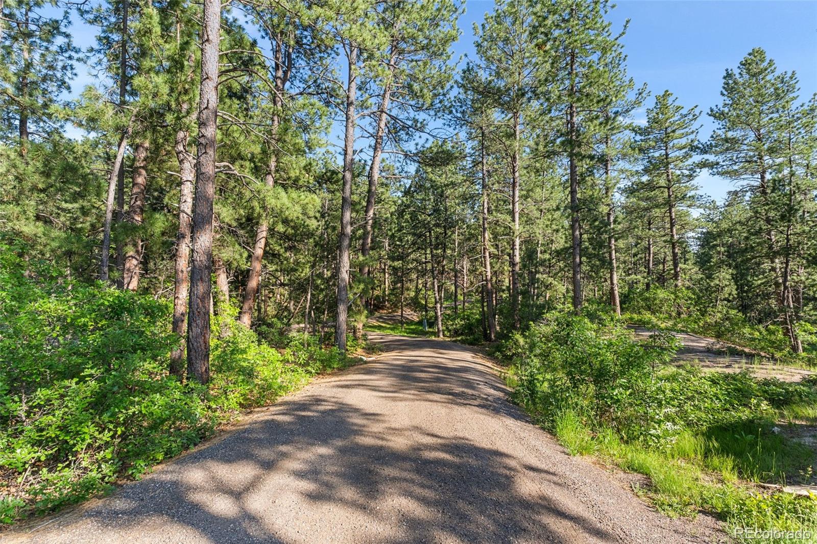 MLS Image #49 for 11044  conestoga place,franktown, Colorado