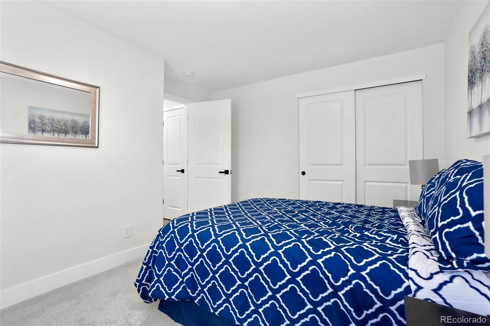 MLS Image #17 for 1023  hooker street,denver, Colorado