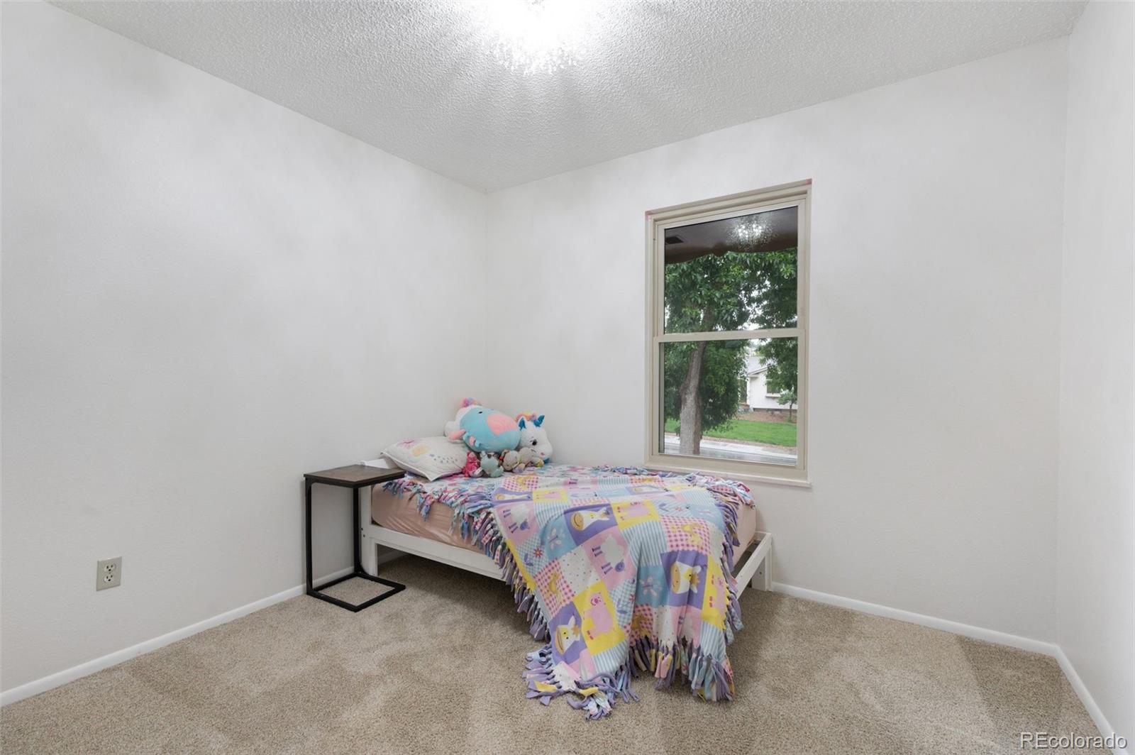 MLS Image #22 for 5214  alta loma road,colorado springs, Colorado