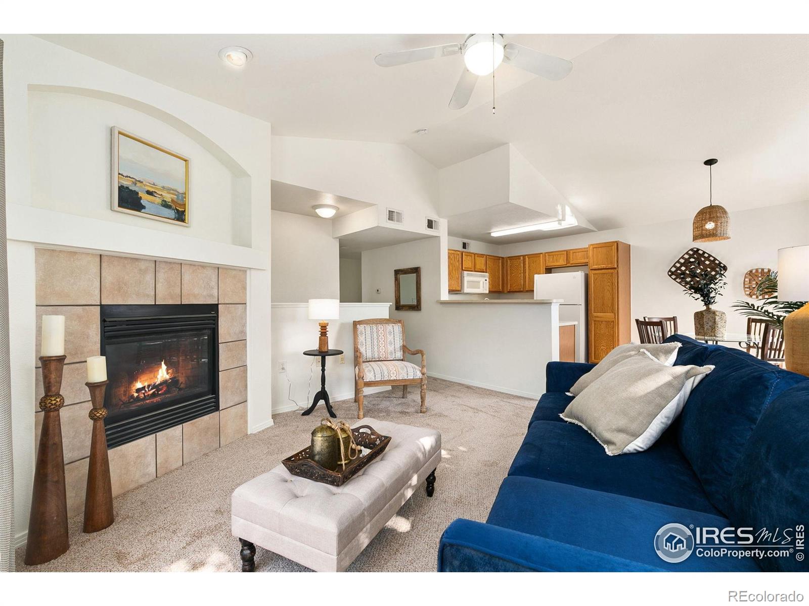 MLS Image #4 for 3002 w elizabeth street,fort collins, Colorado