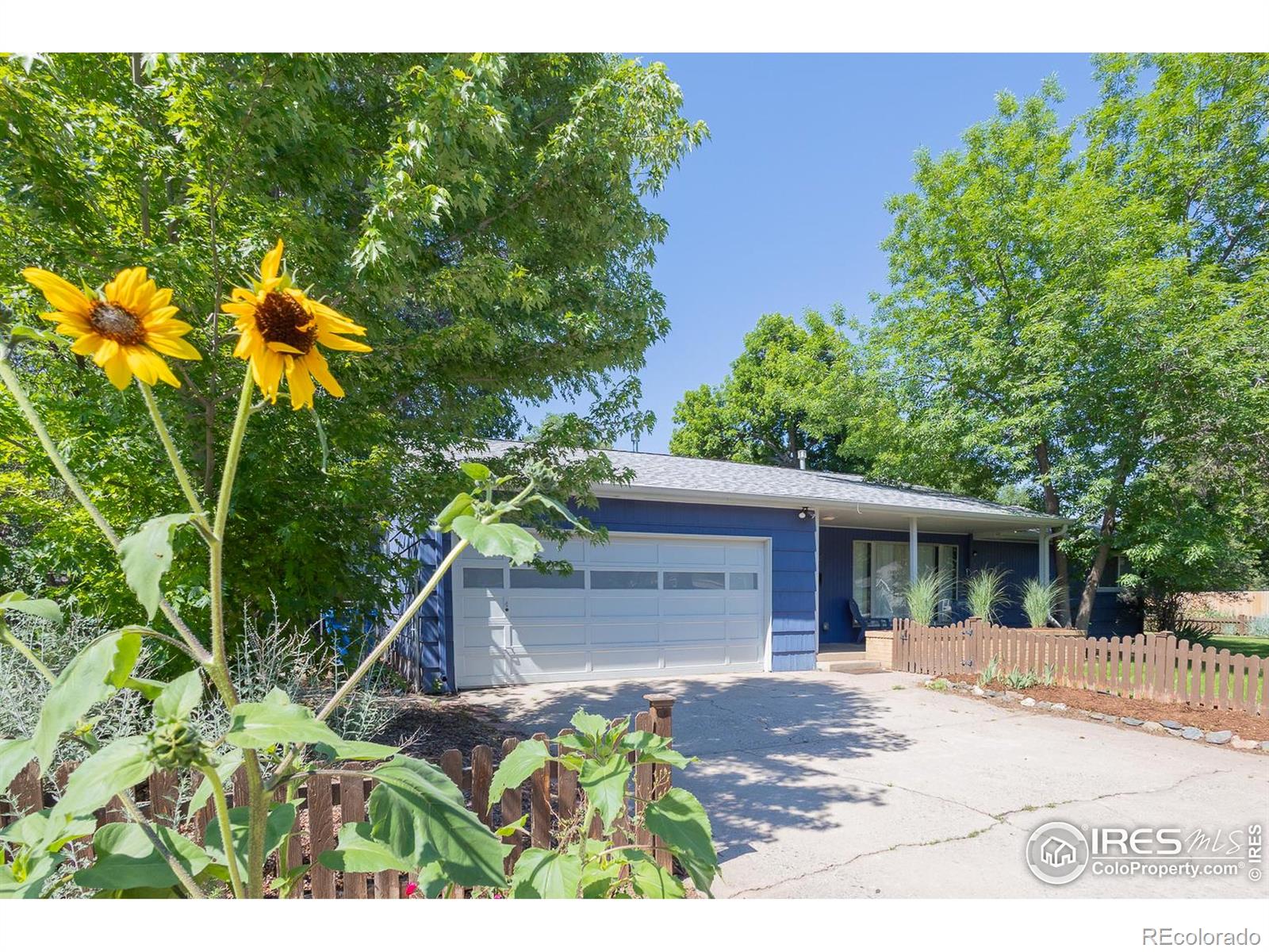 MLS Image #1 for 624 e plum street,fort collins, Colorado