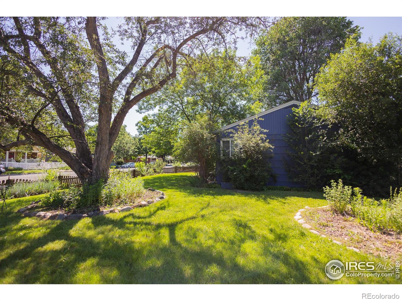 MLS Image #24 for 624 e plum street,fort collins, Colorado