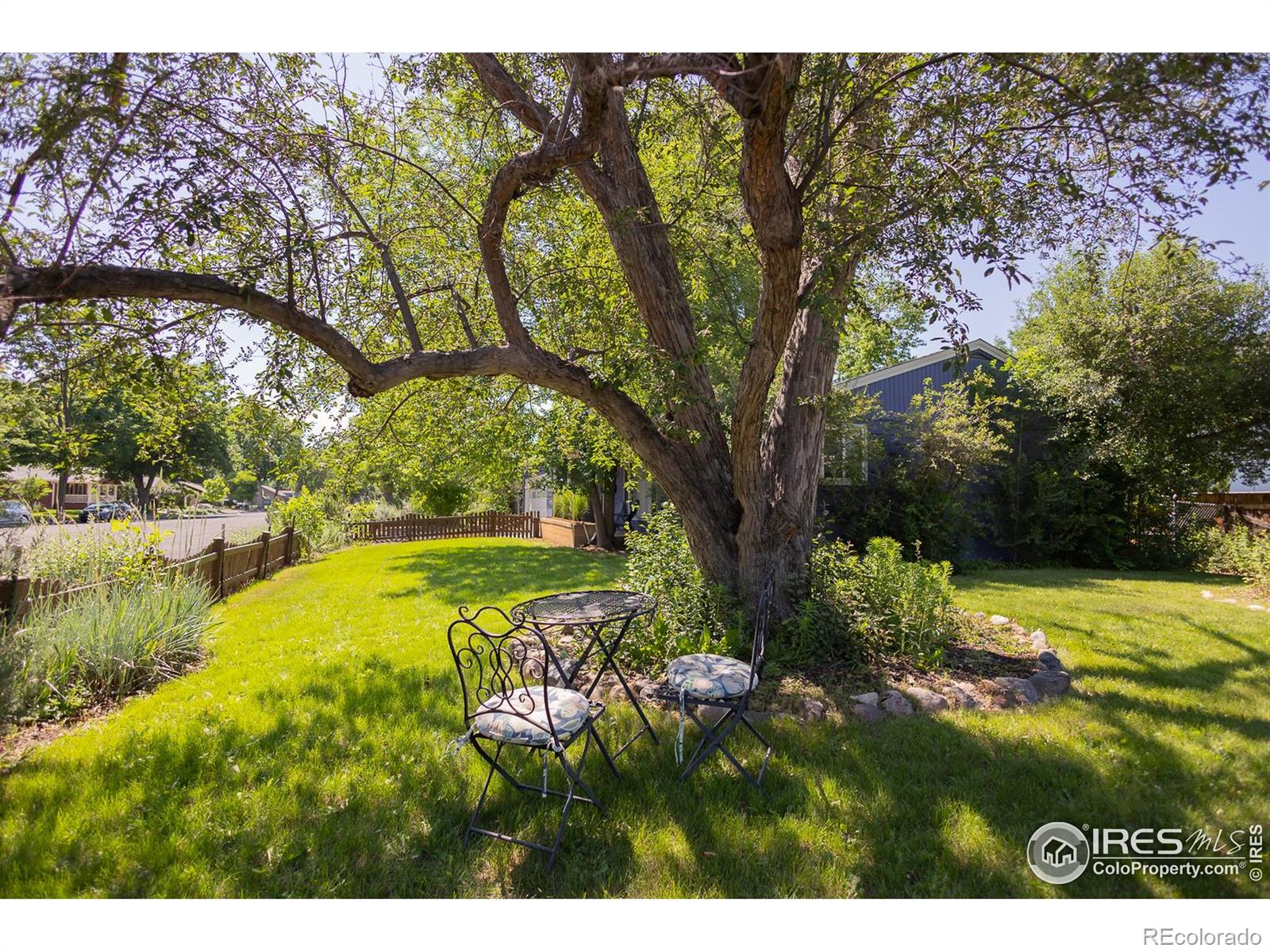 MLS Image #25 for 624 e plum street,fort collins, Colorado