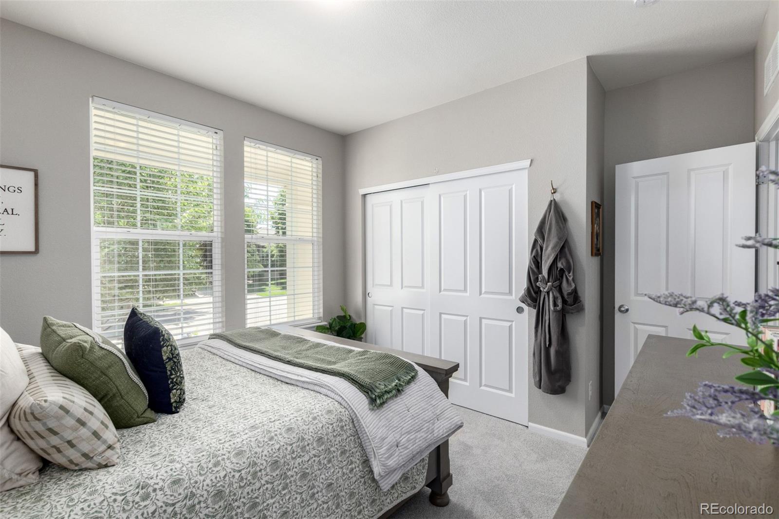 MLS Image #21 for 1038  mircos street,erie, Colorado