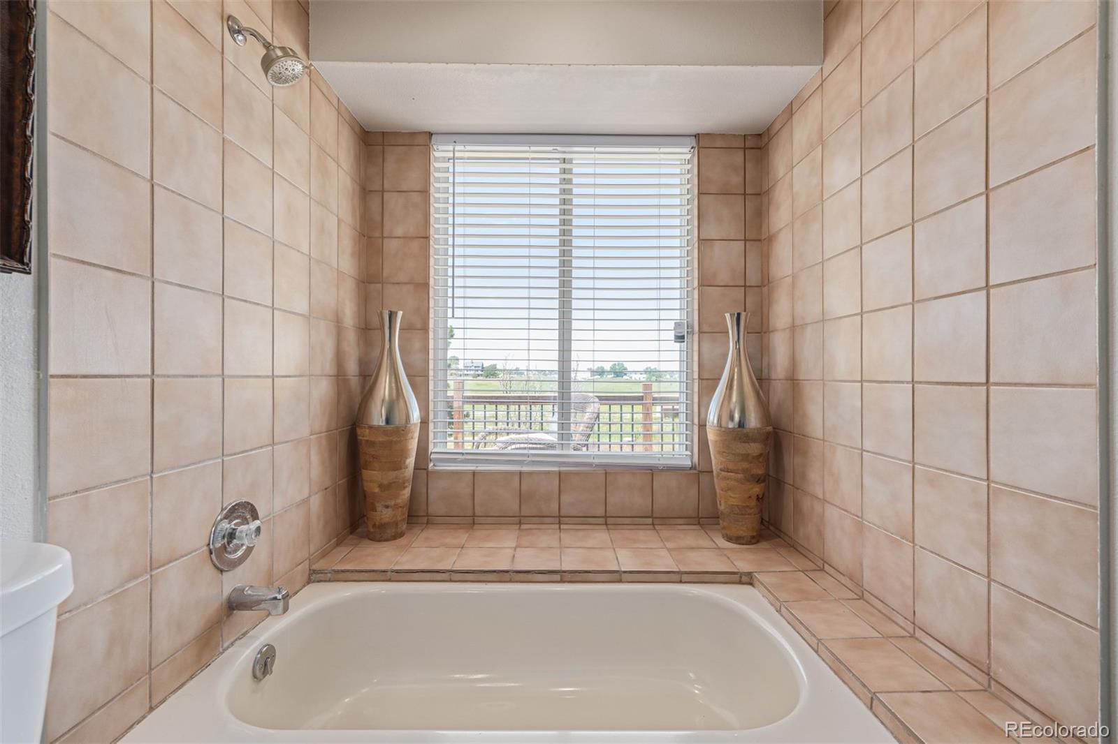 MLS Image #21 for 42313  vista ridge,parker, Colorado