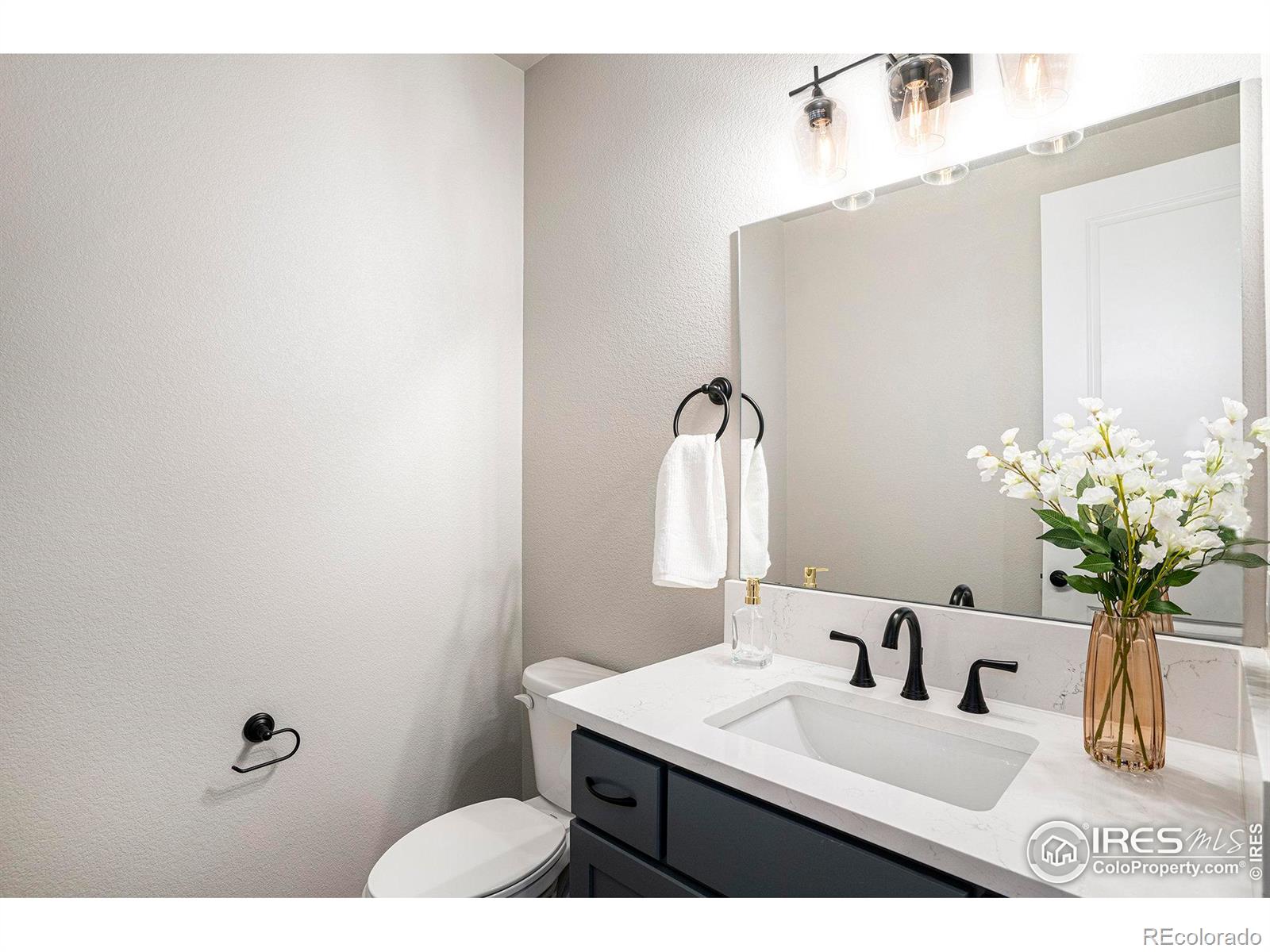 MLS Image #12 for 1550  harebell street,berthoud, Colorado