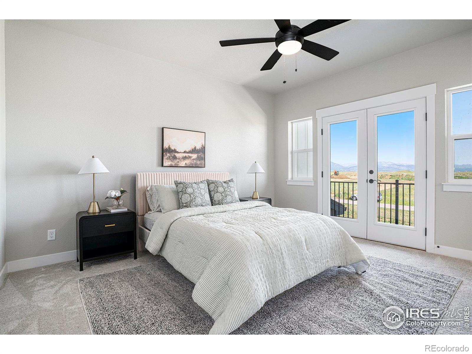 MLS Image #13 for 1550  harebell street,berthoud, Colorado