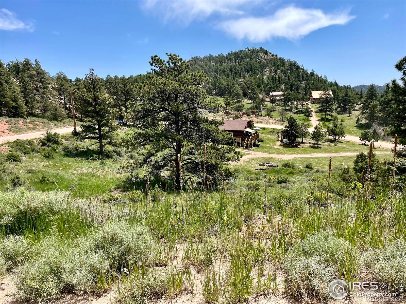 MLS Image #15 for 243  springmeadow way,red feather lakes, Colorado