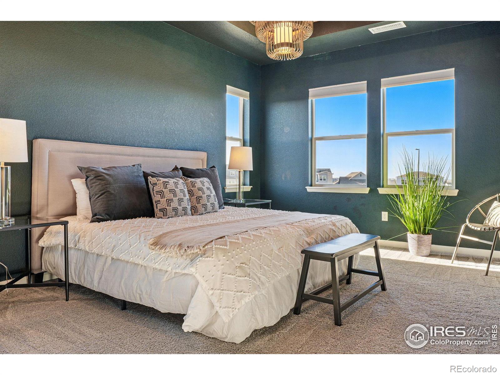 MLS Image #24 for 4825  basalt ridge circle,castle rock, Colorado