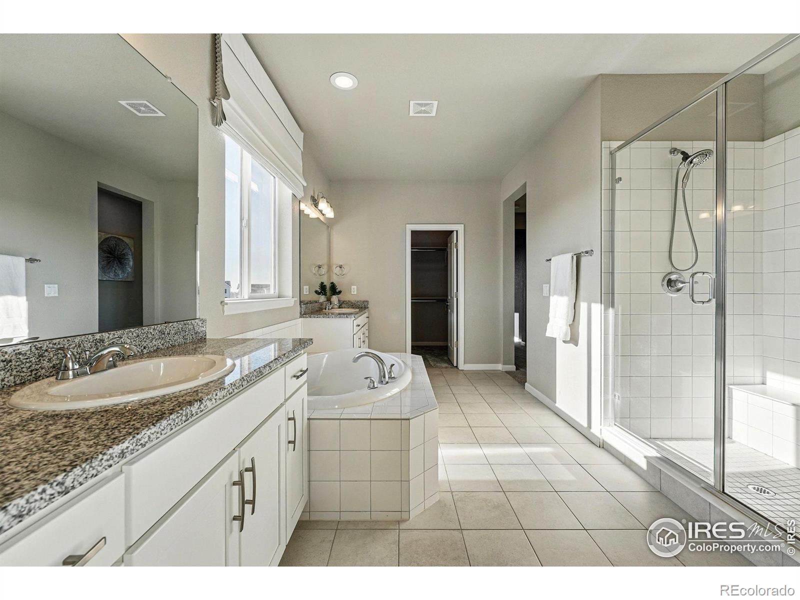MLS Image #3 for 4825  basalt ridge circle,castle rock, Colorado