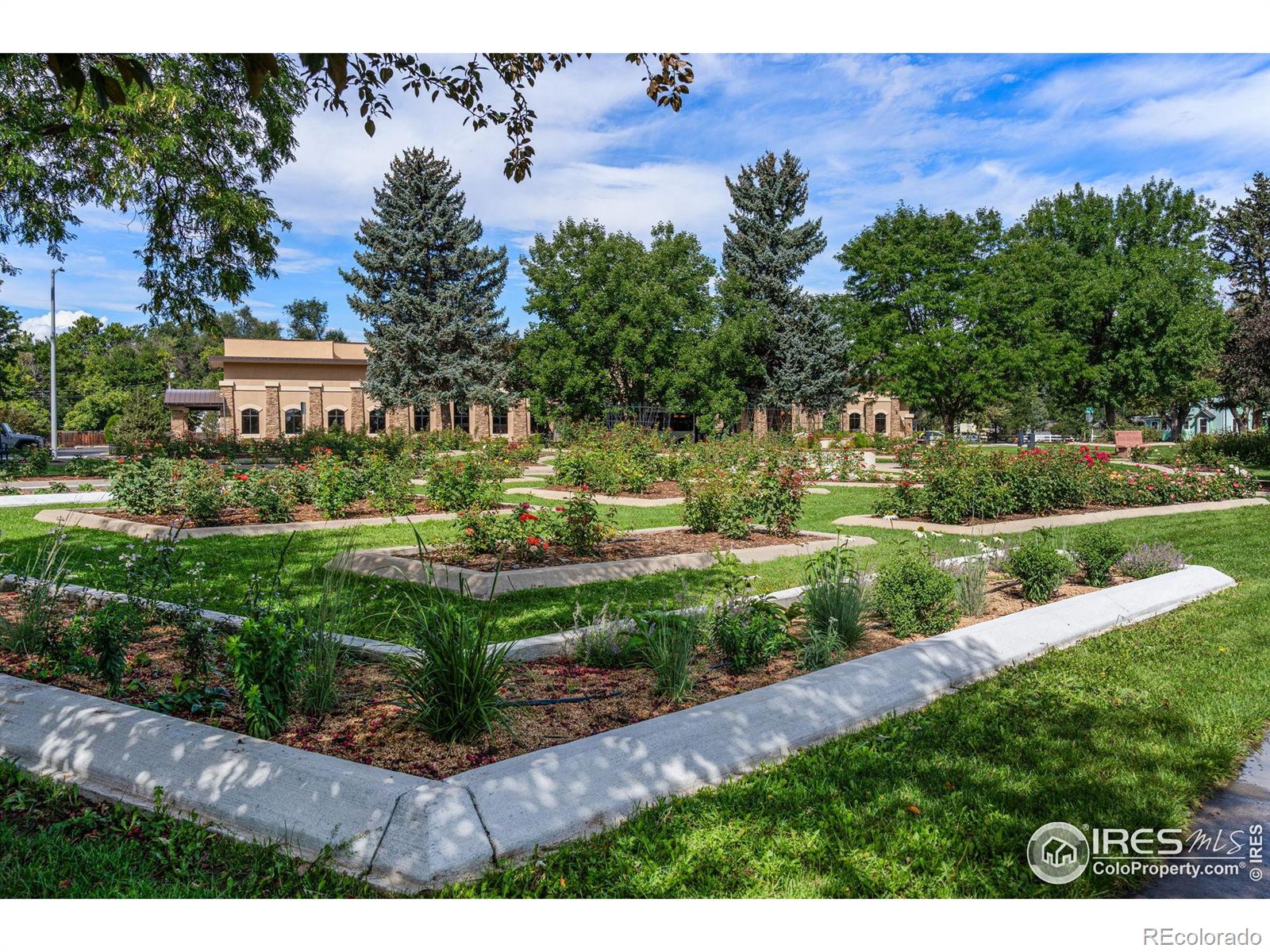 MLS Image #30 for 1202  9th avenue,longmont, Colorado