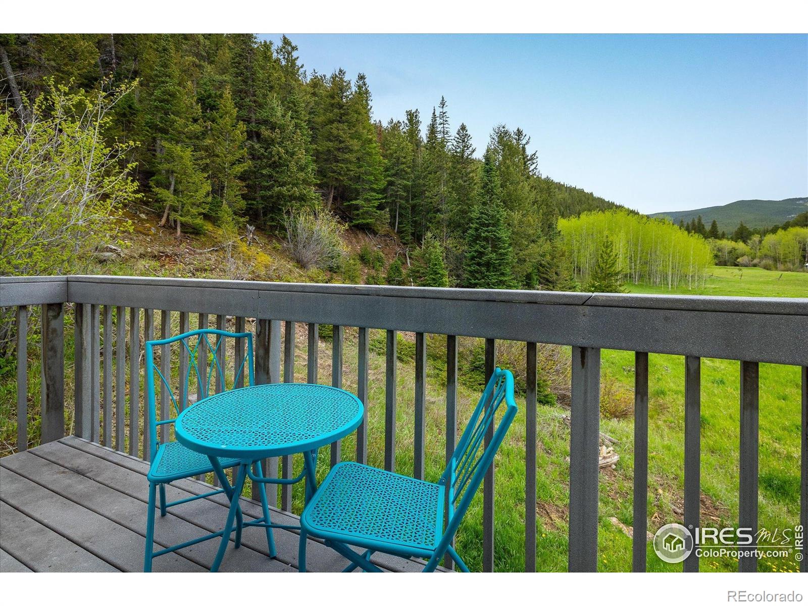 MLS Image #21 for 489  beaver creek drive,nederland, Colorado