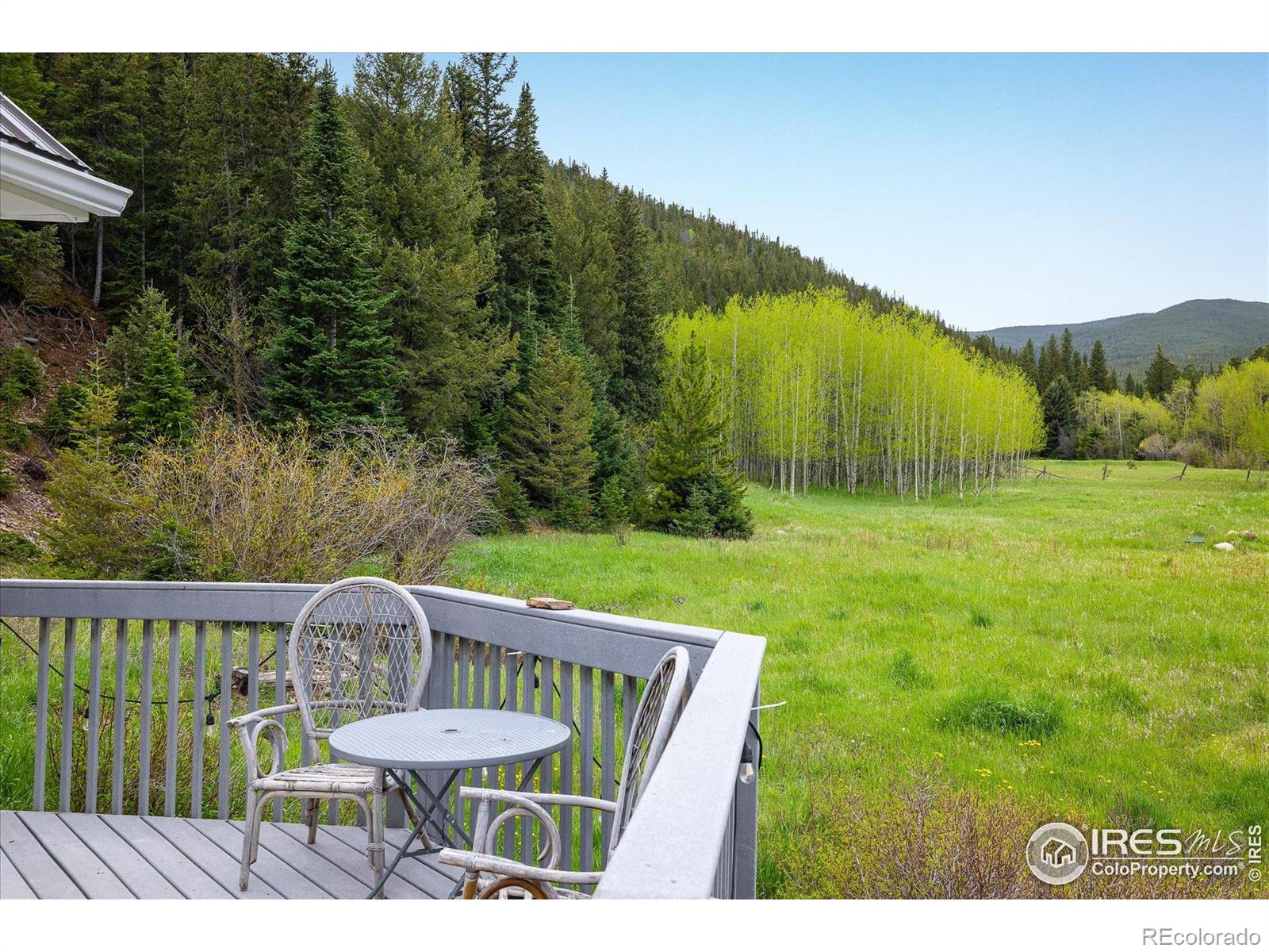 MLS Image #24 for 489  beaver creek drive,nederland, Colorado