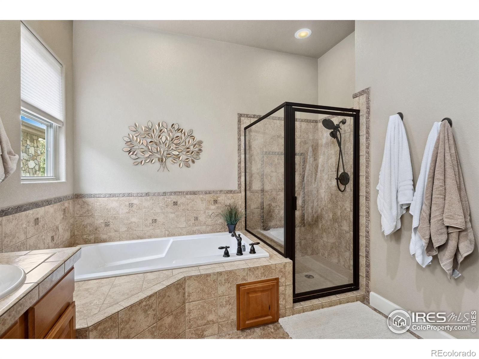 MLS Image #15 for 2055  vineyard drive,windsor, Colorado