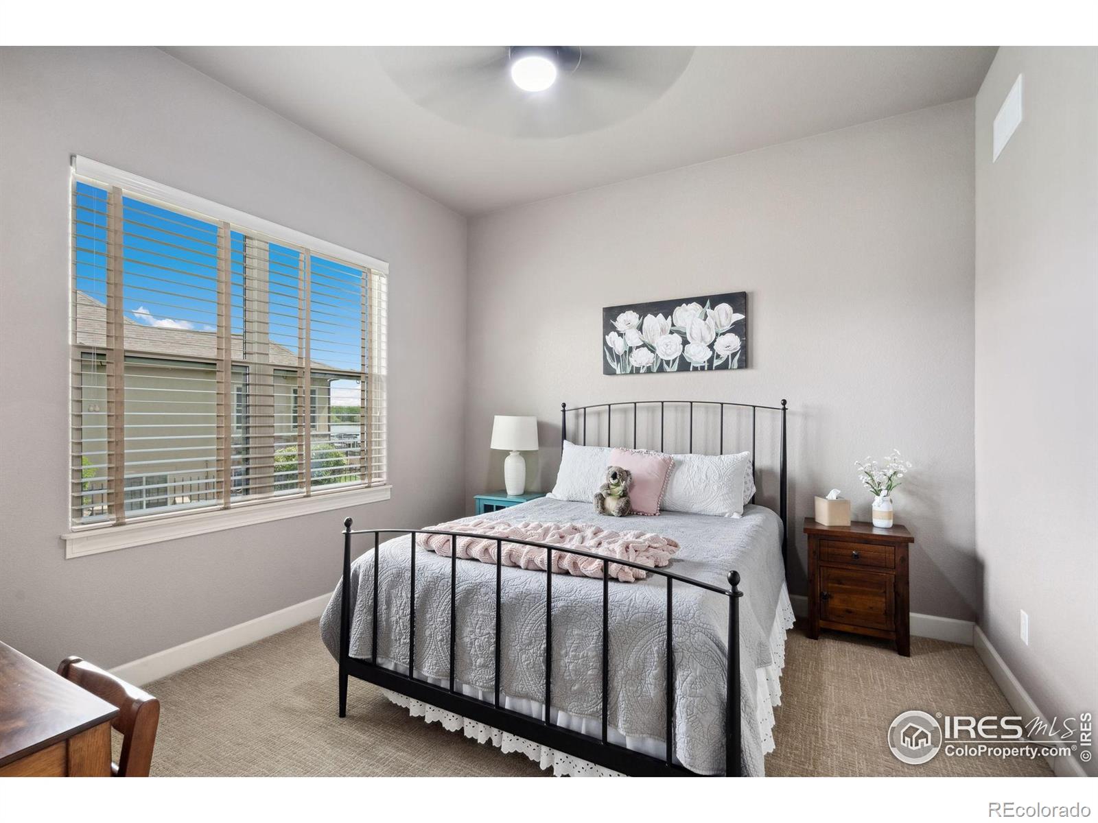 MLS Image #17 for 2055  vineyard drive,windsor, Colorado