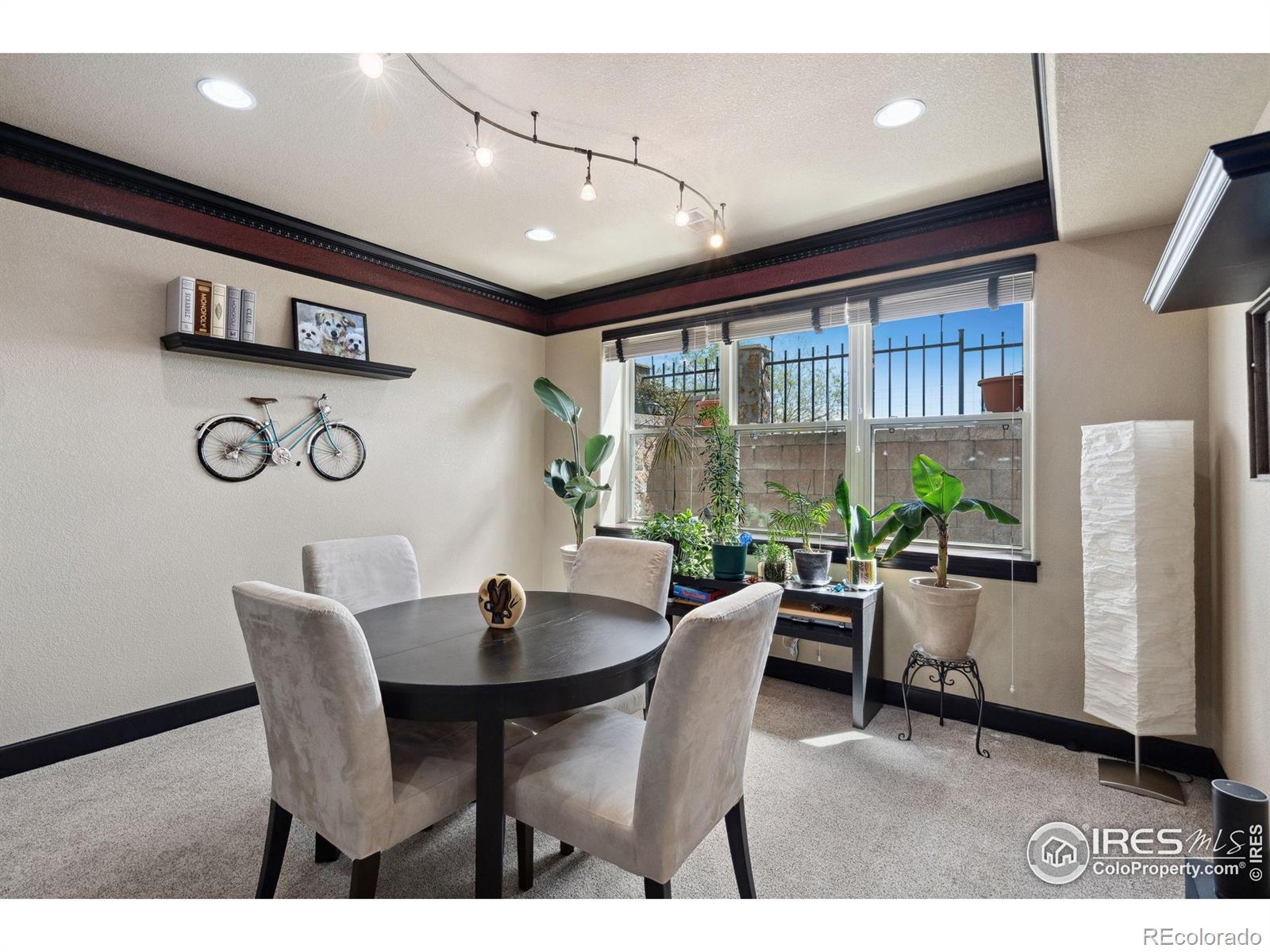MLS Image #25 for 2055  vineyard drive,windsor, Colorado