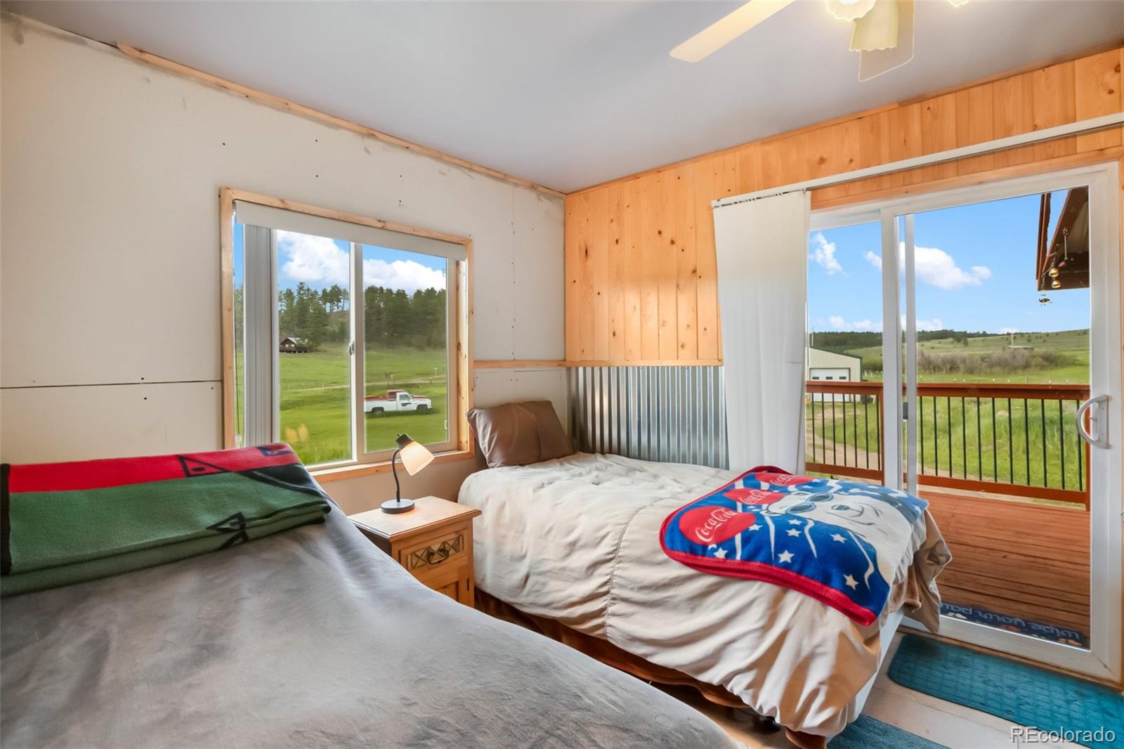 MLS Image #23 for 6804  county rd 98 ,florissant, Colorado