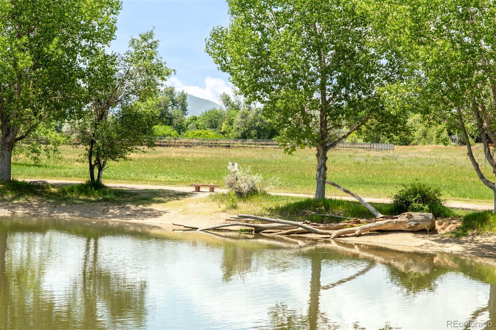 MLS Image #34 for 366 w elm street,louisville, Colorado