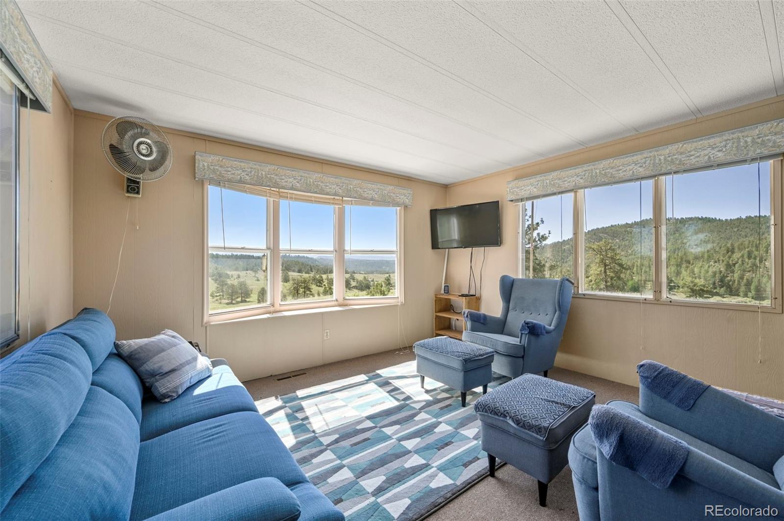 MLS Image #10 for 332  valley circle,guffey, Colorado