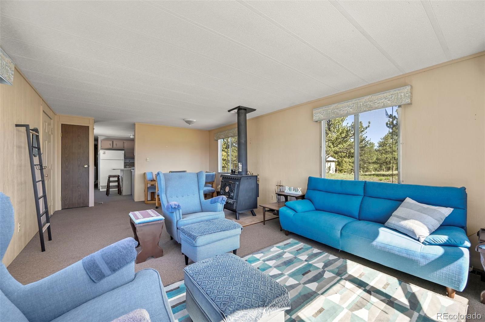 MLS Image #11 for 332  valley circle,guffey, Colorado