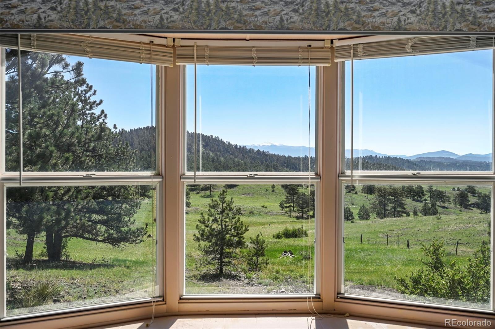 MLS Image #12 for 332  valley circle,guffey, Colorado