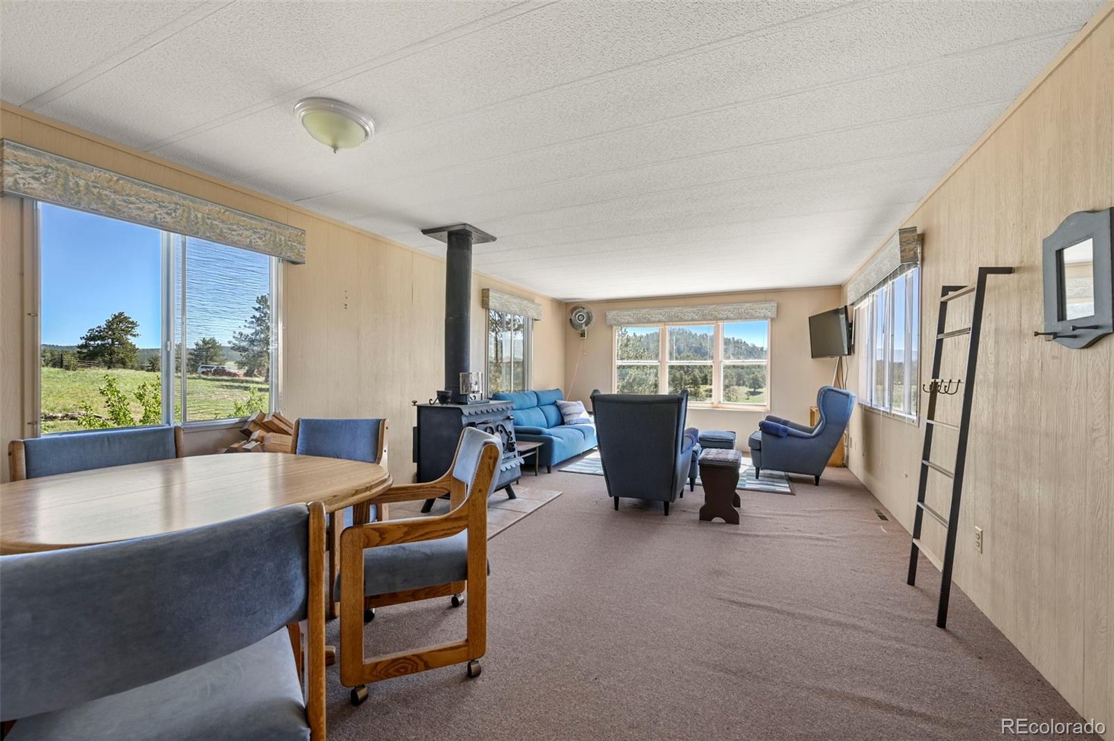 MLS Image #13 for 332  valley circle,guffey, Colorado