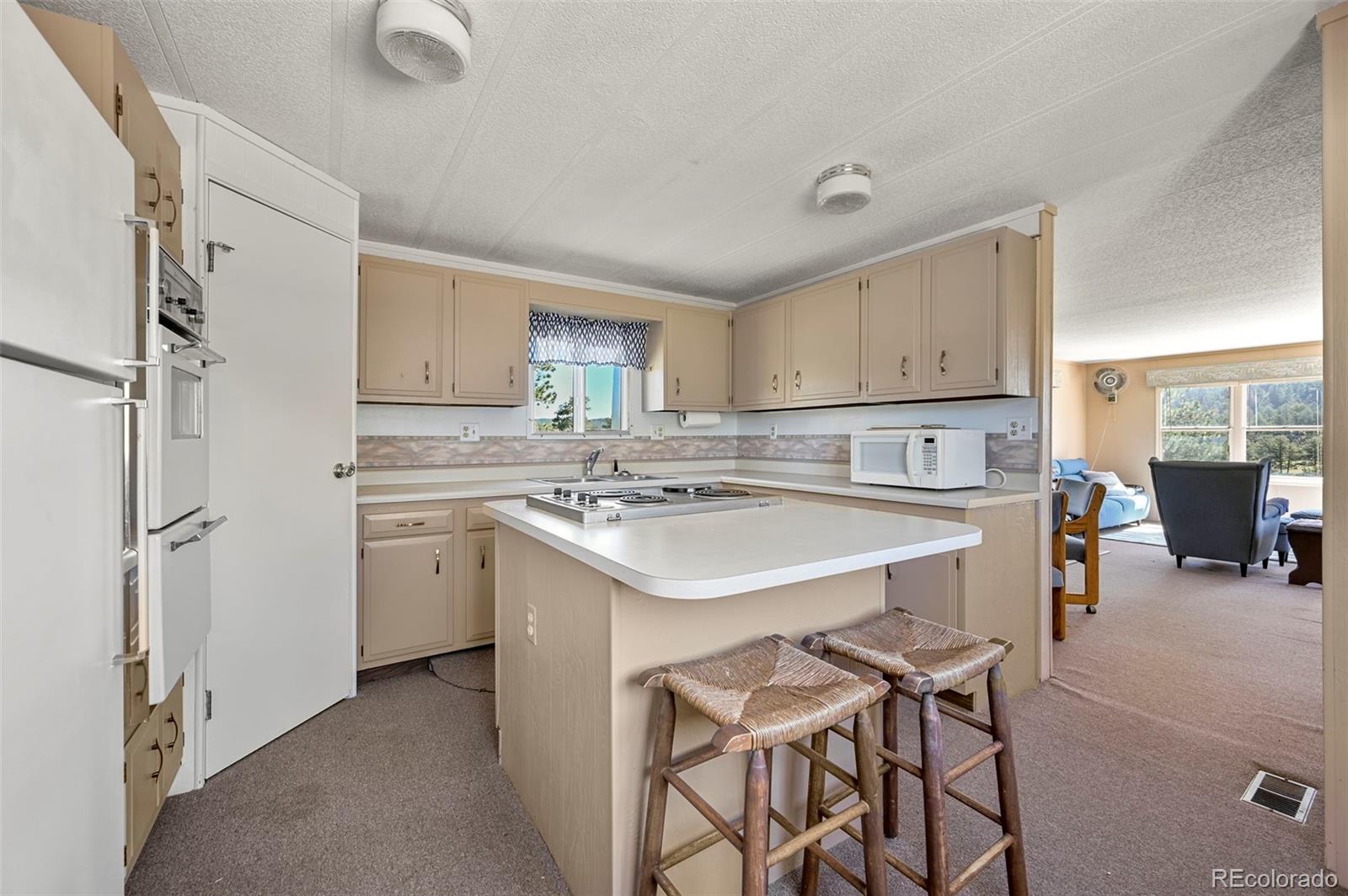 MLS Image #15 for 332  valley circle,guffey, Colorado