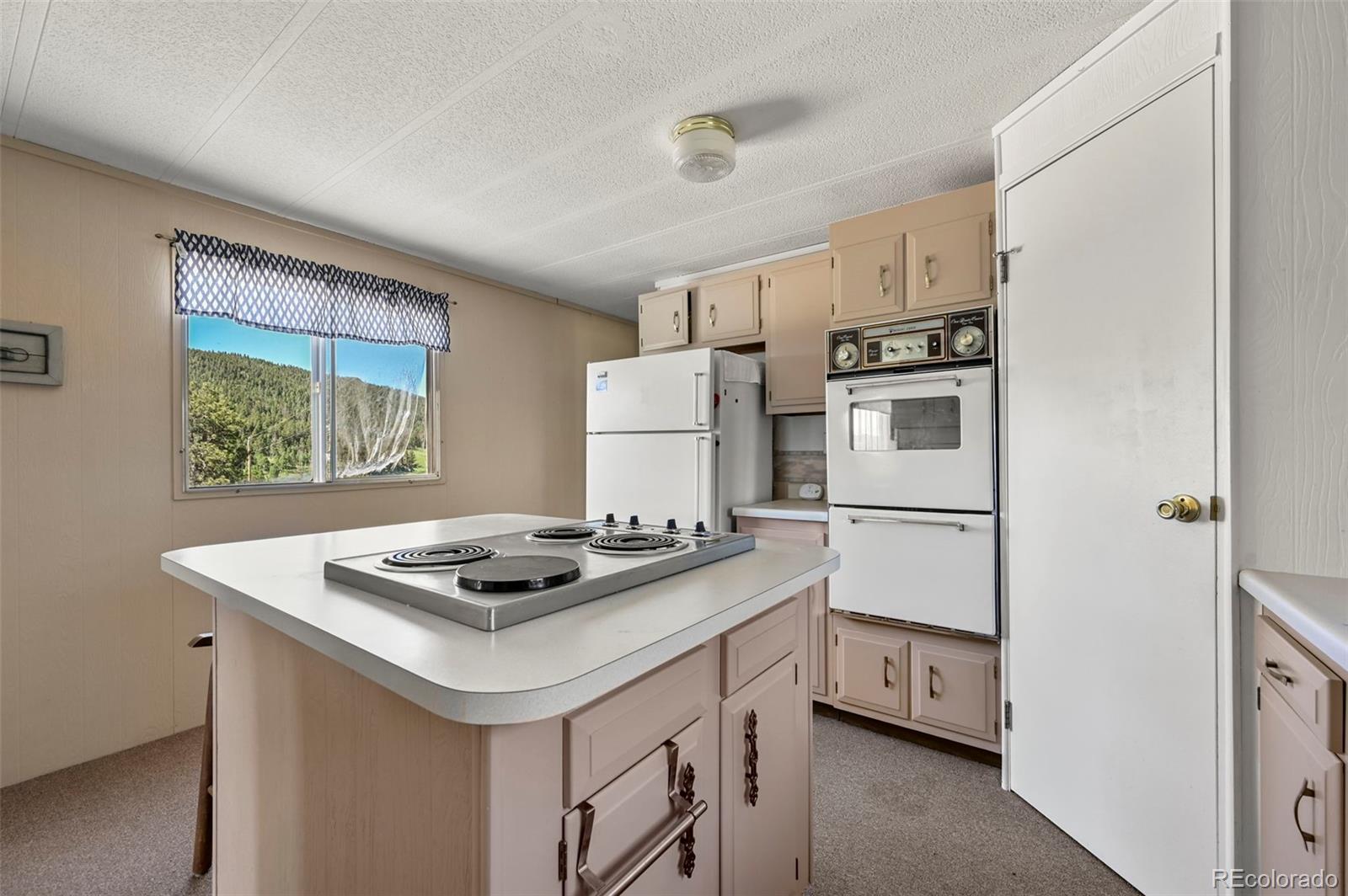 MLS Image #17 for 332  valley circle,guffey, Colorado
