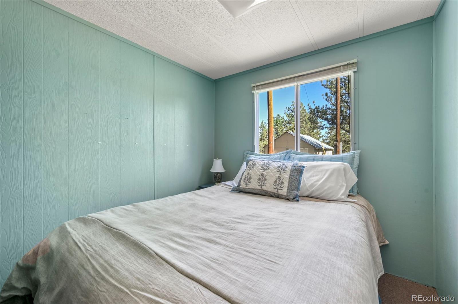 MLS Image #20 for 332  valley circle,guffey, Colorado