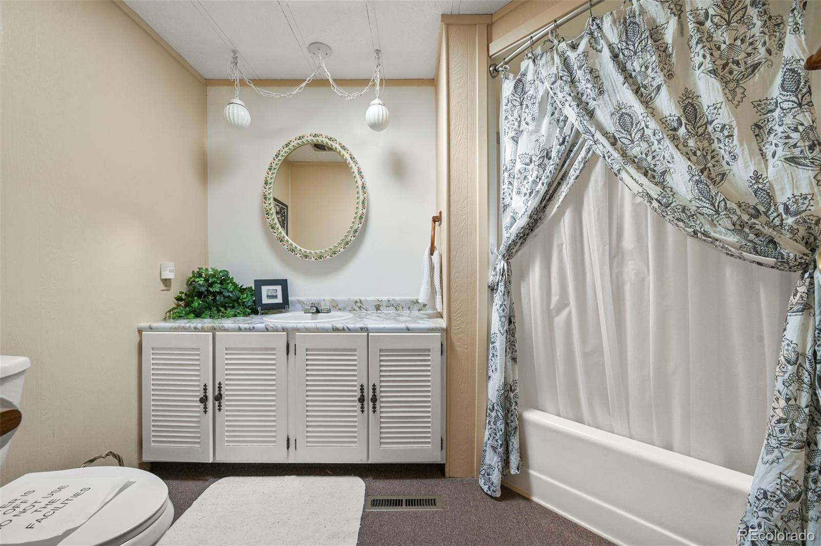 MLS Image #24 for 332  valley circle,guffey, Colorado