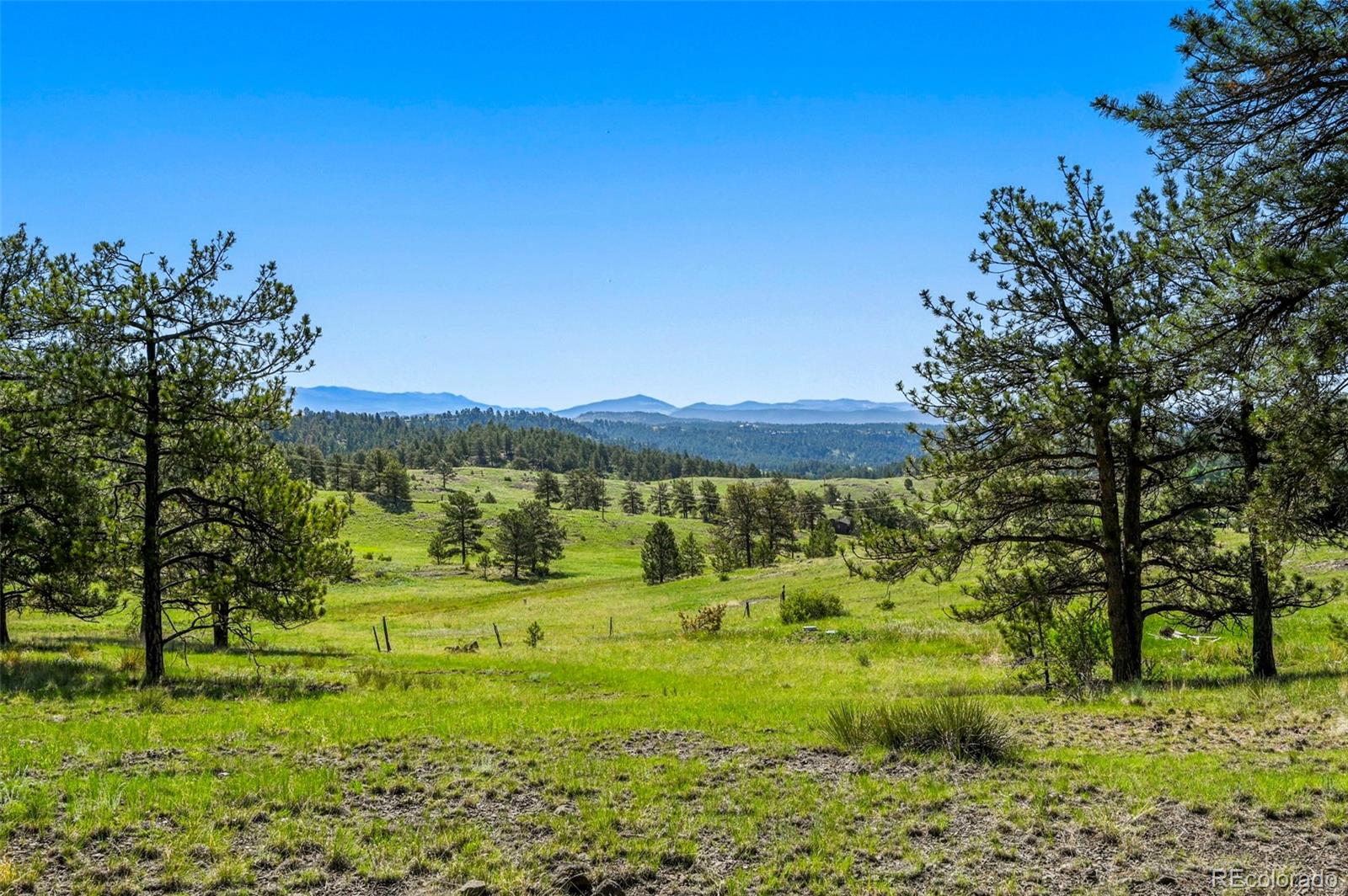 MLS Image #25 for 332  valley circle,guffey, Colorado