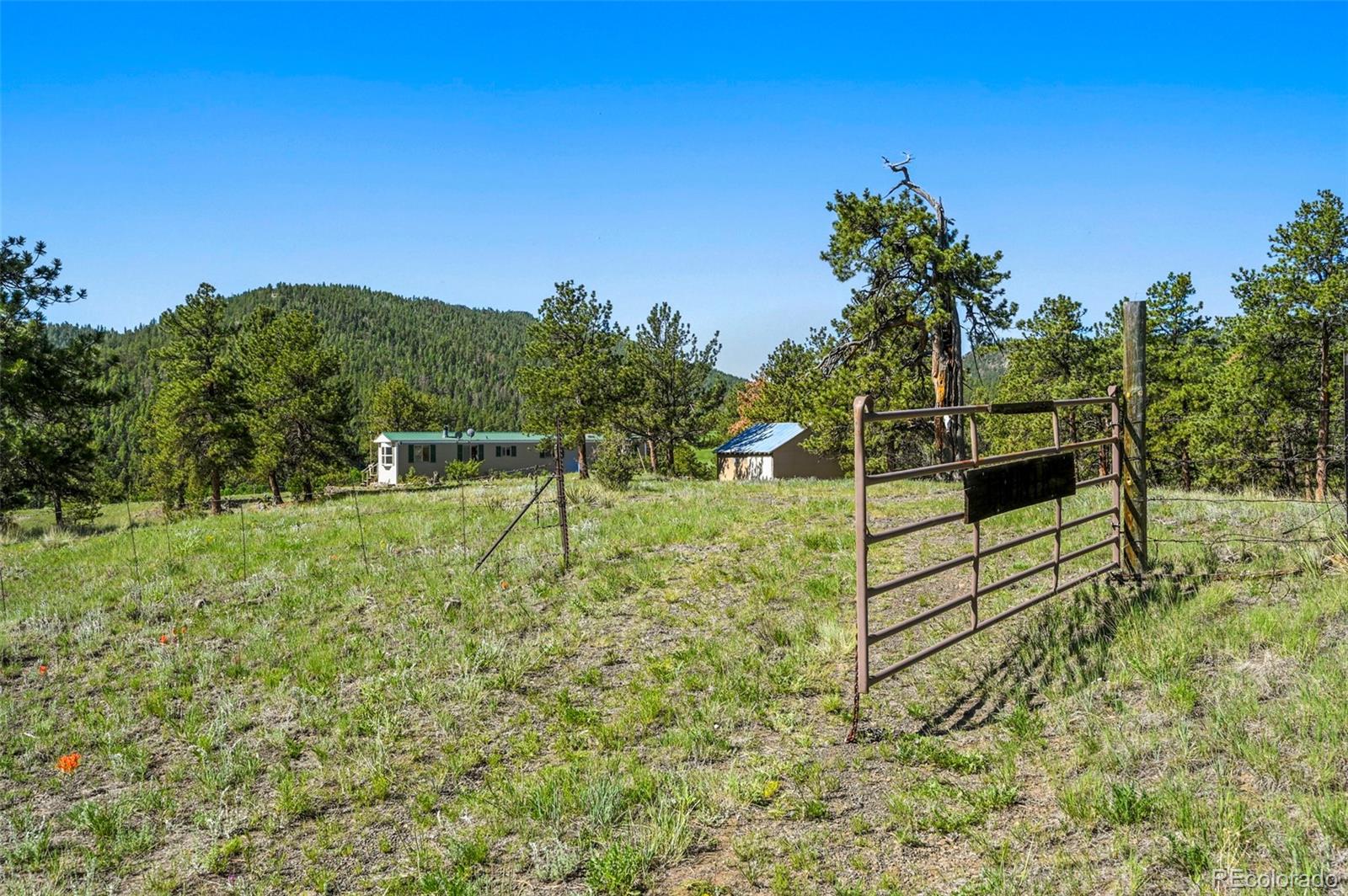 MLS Image #3 for 332  valley circle,guffey, Colorado