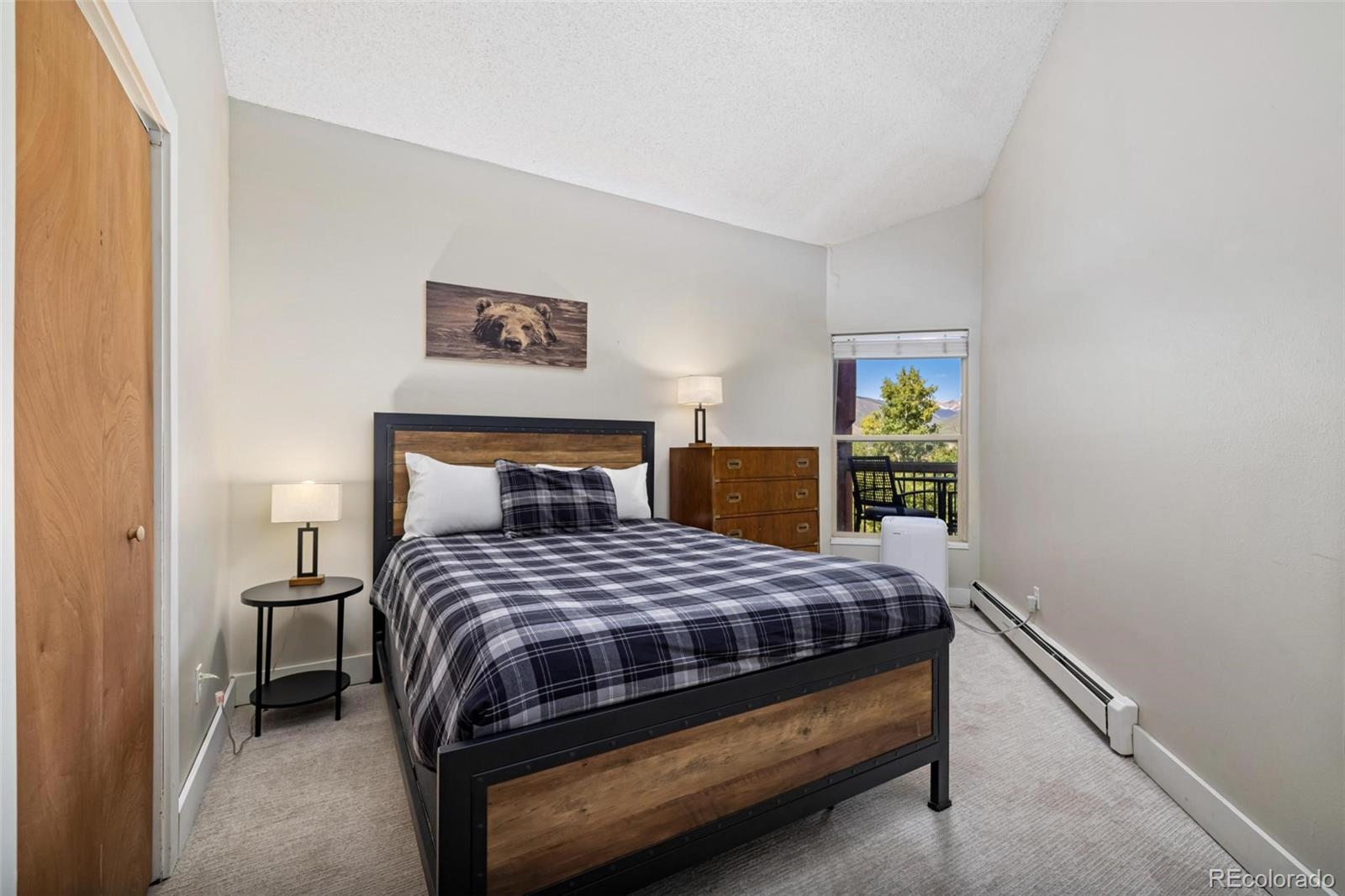 MLS Image #16 for 2449  ryan gulch court,silverthorne, Colorado