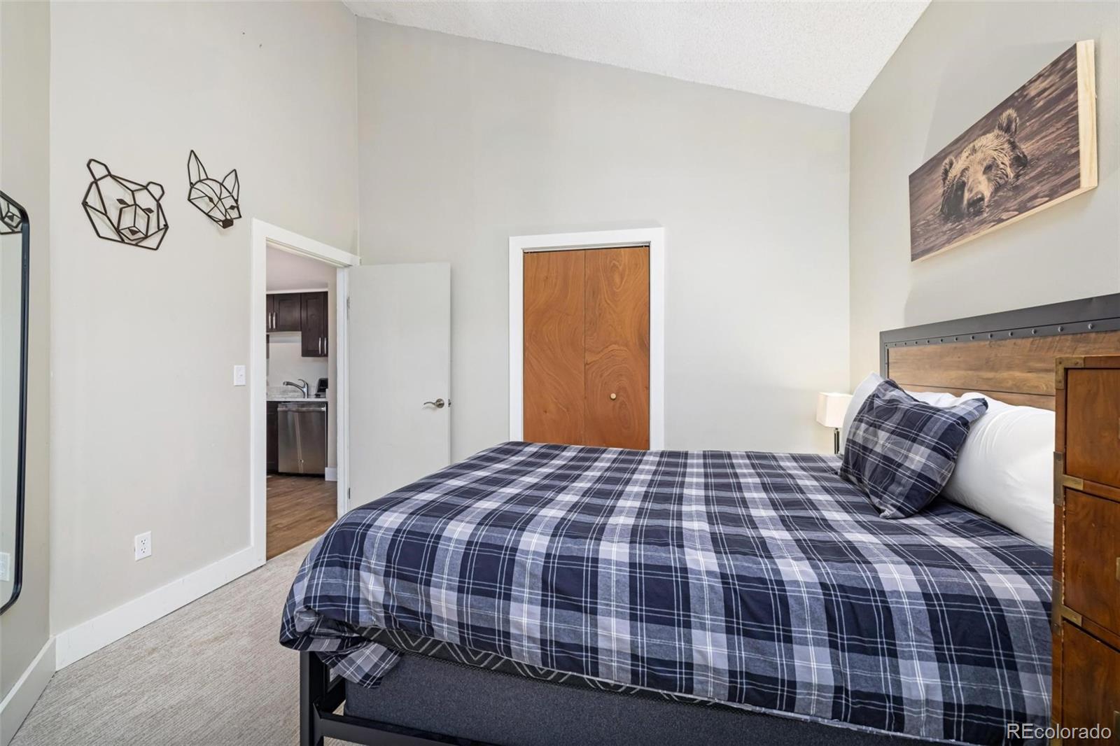 MLS Image #17 for 2449  ryan gulch court,silverthorne, Colorado